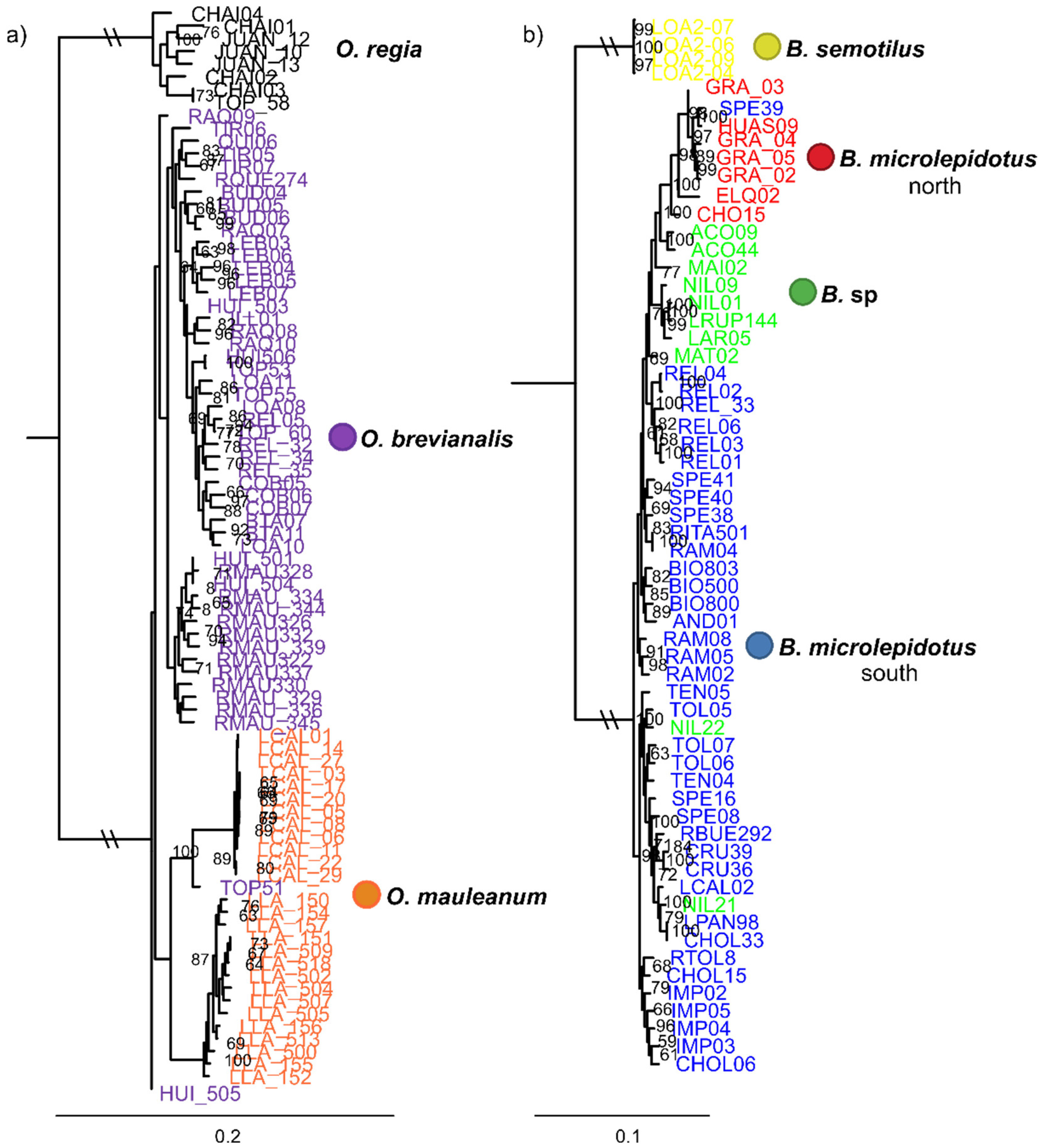 Preprints 154263 g002