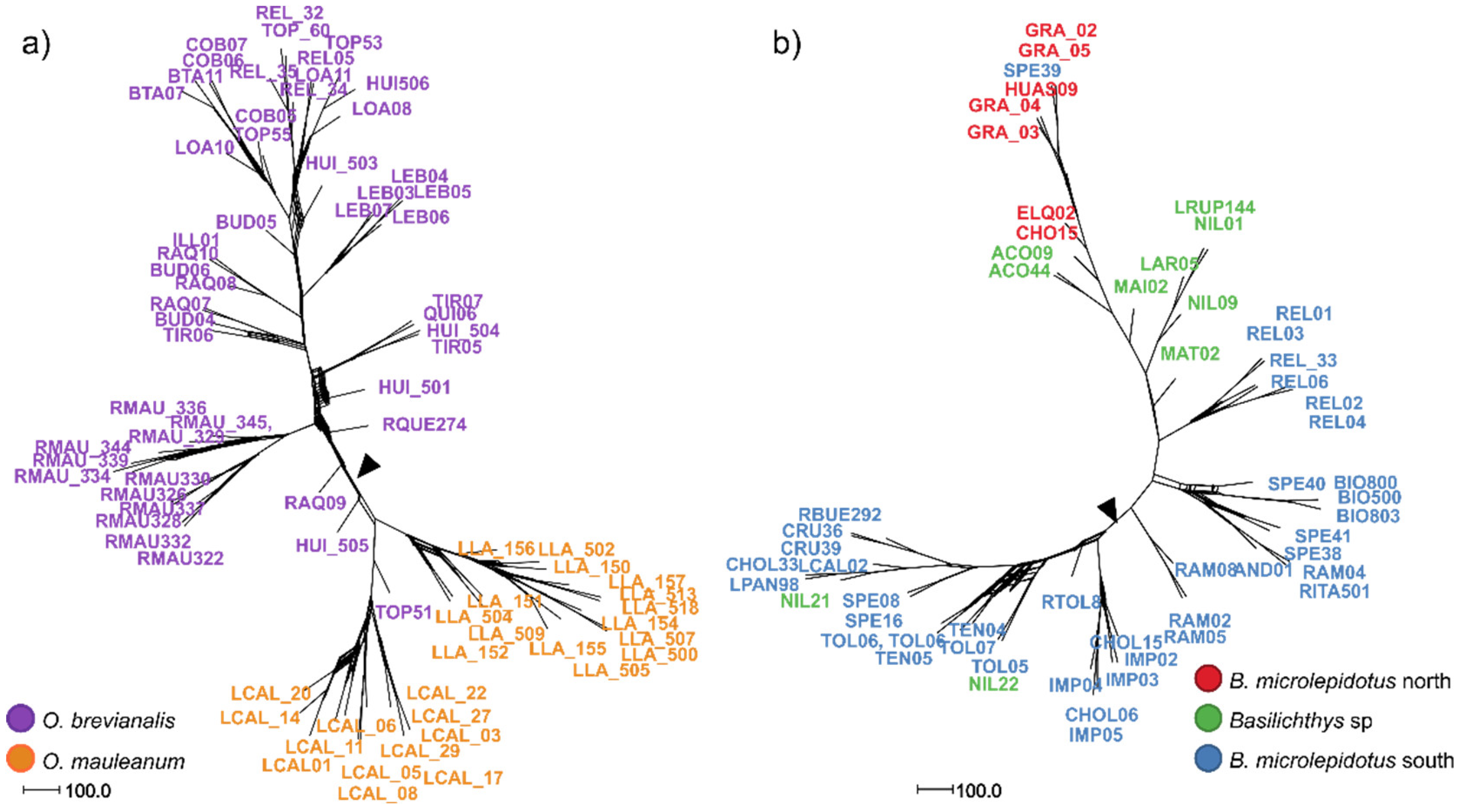 Preprints 154263 g003