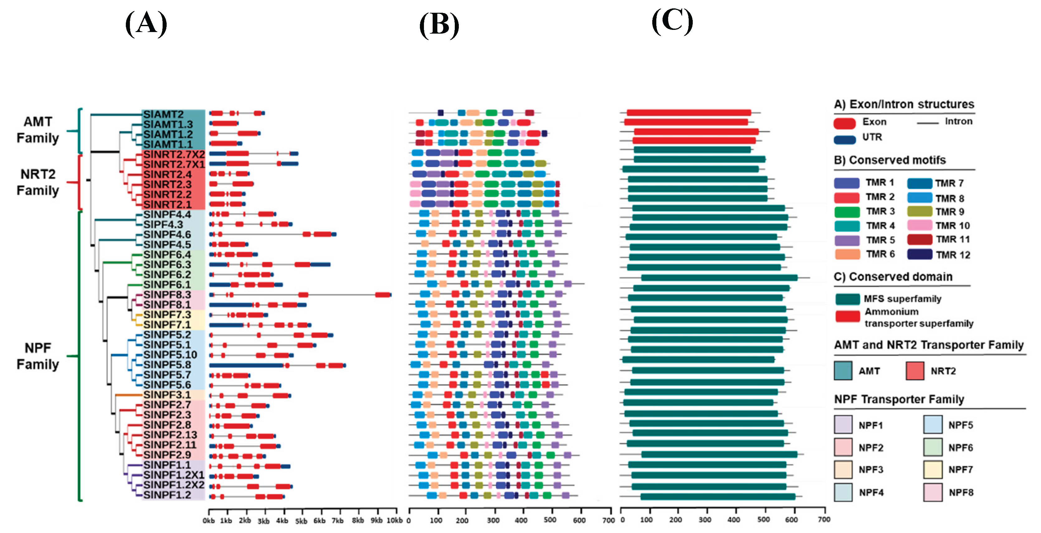 Preprints 180218 g002