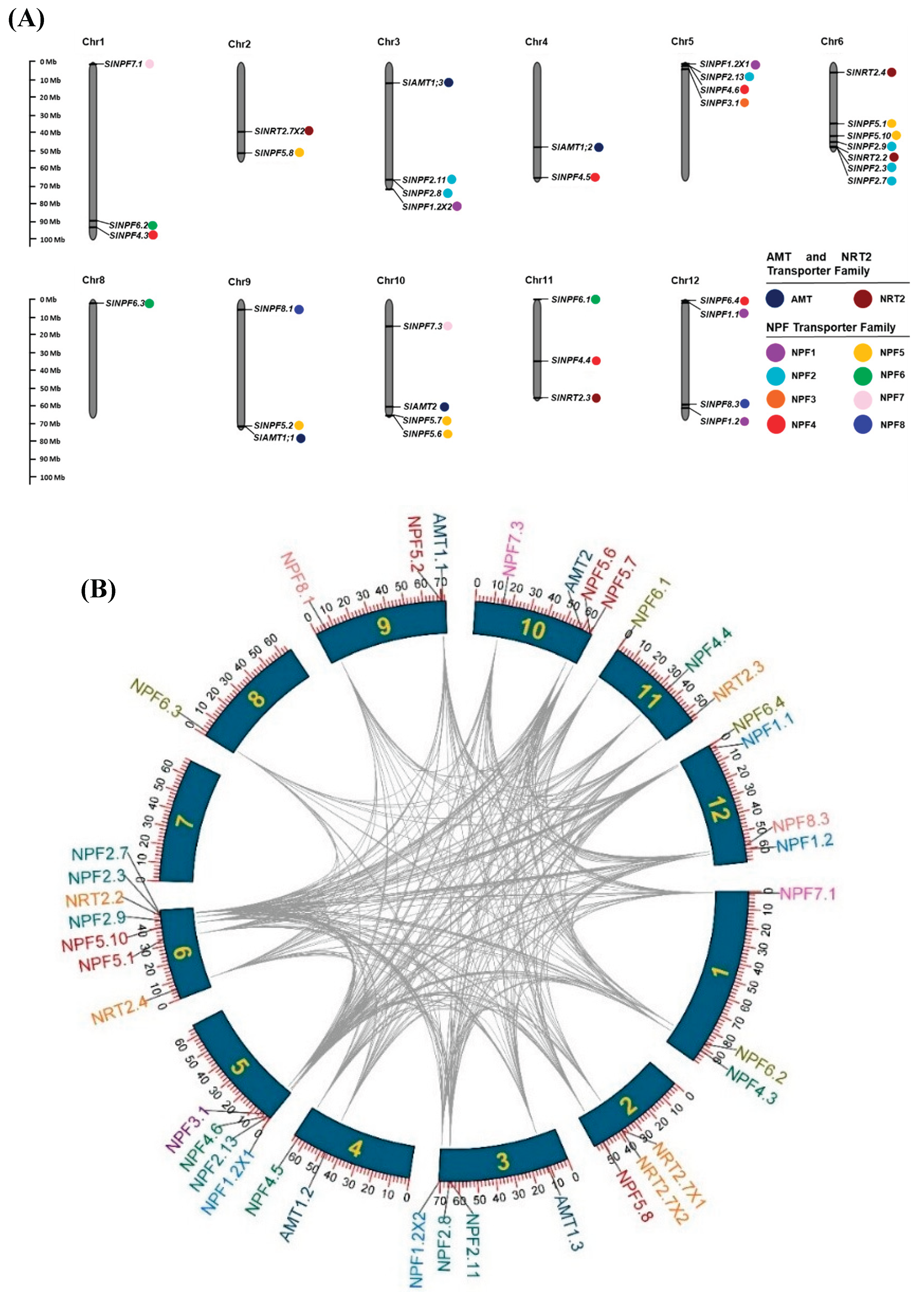 Preprints 180218 g003
