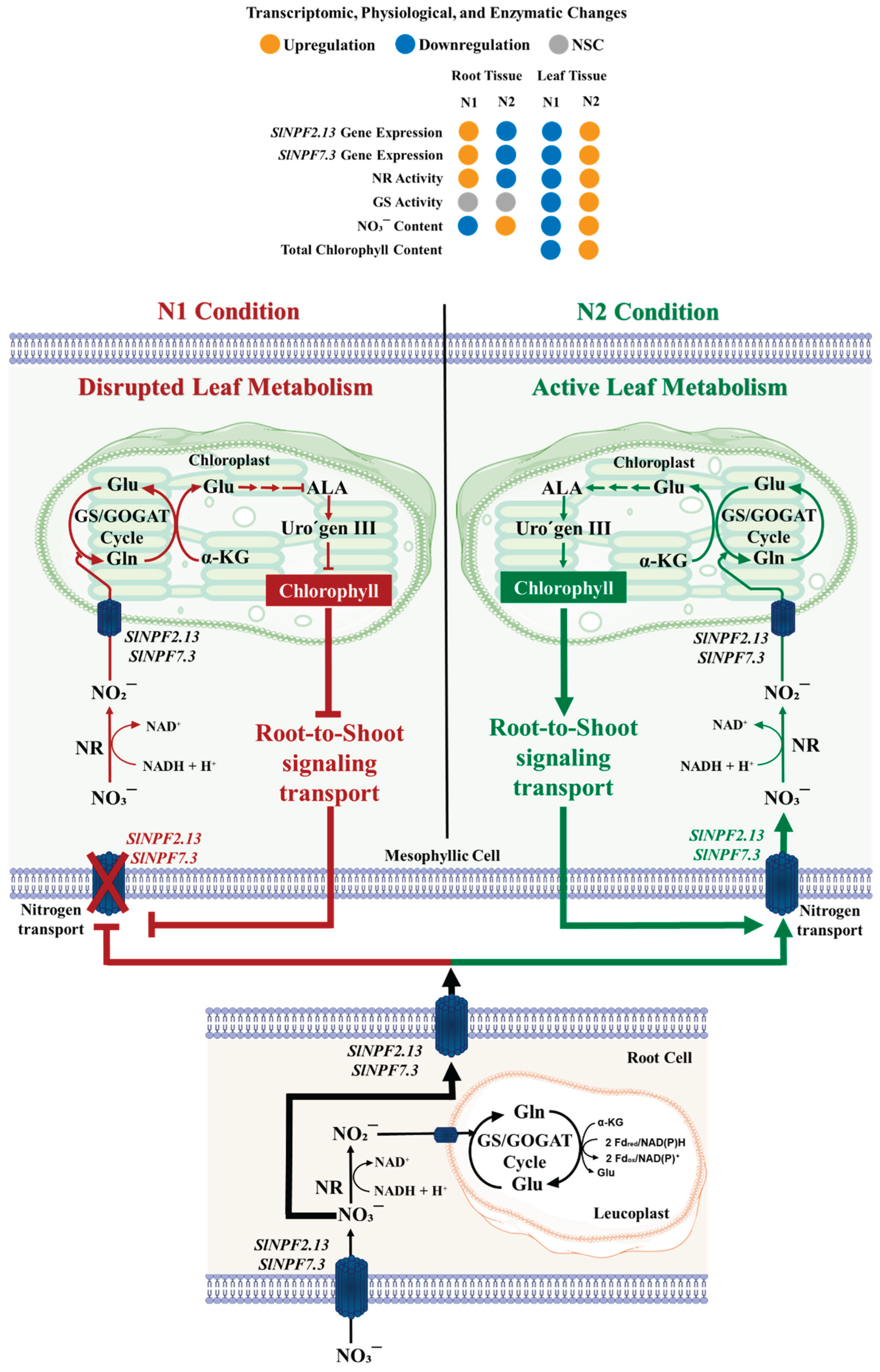Preprints 180218 g005