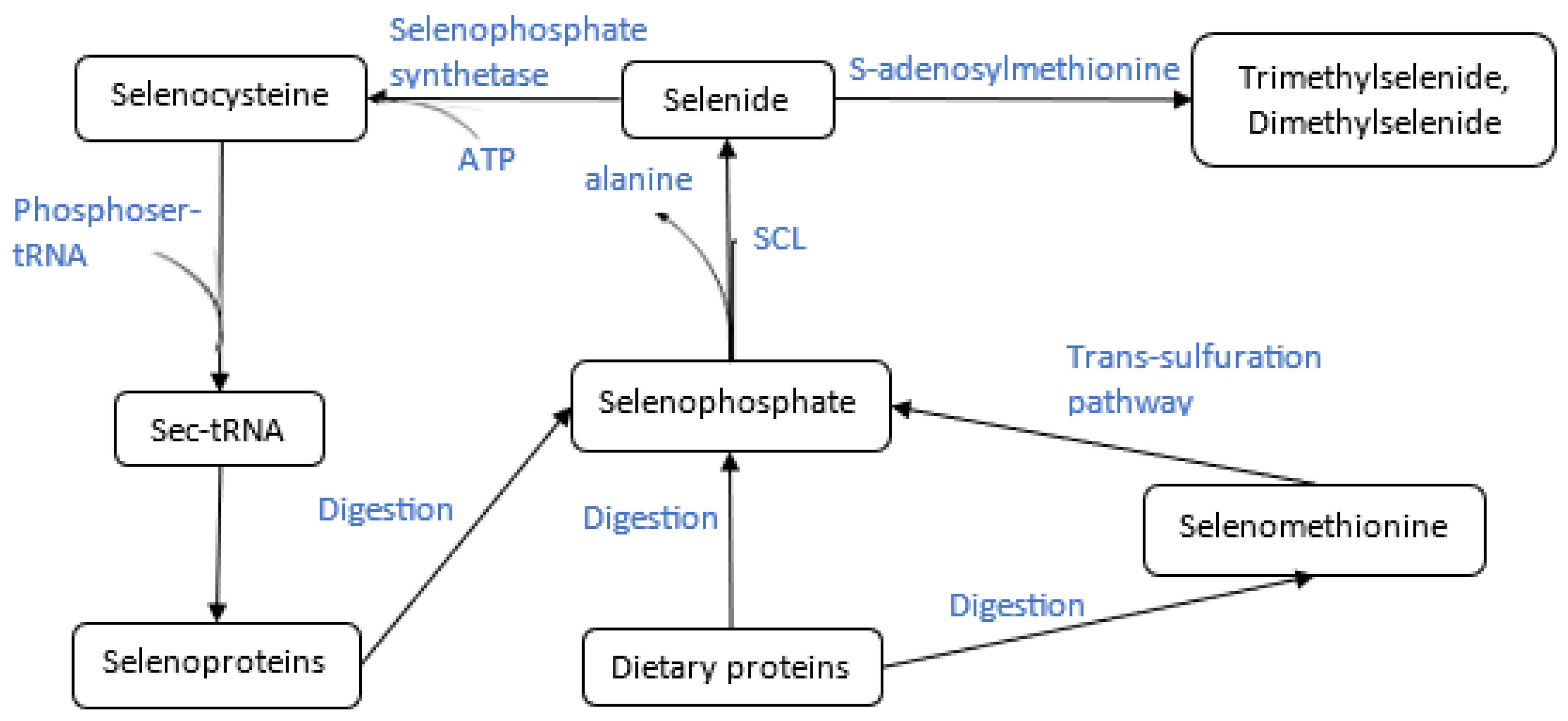 Preprints 162642 g002