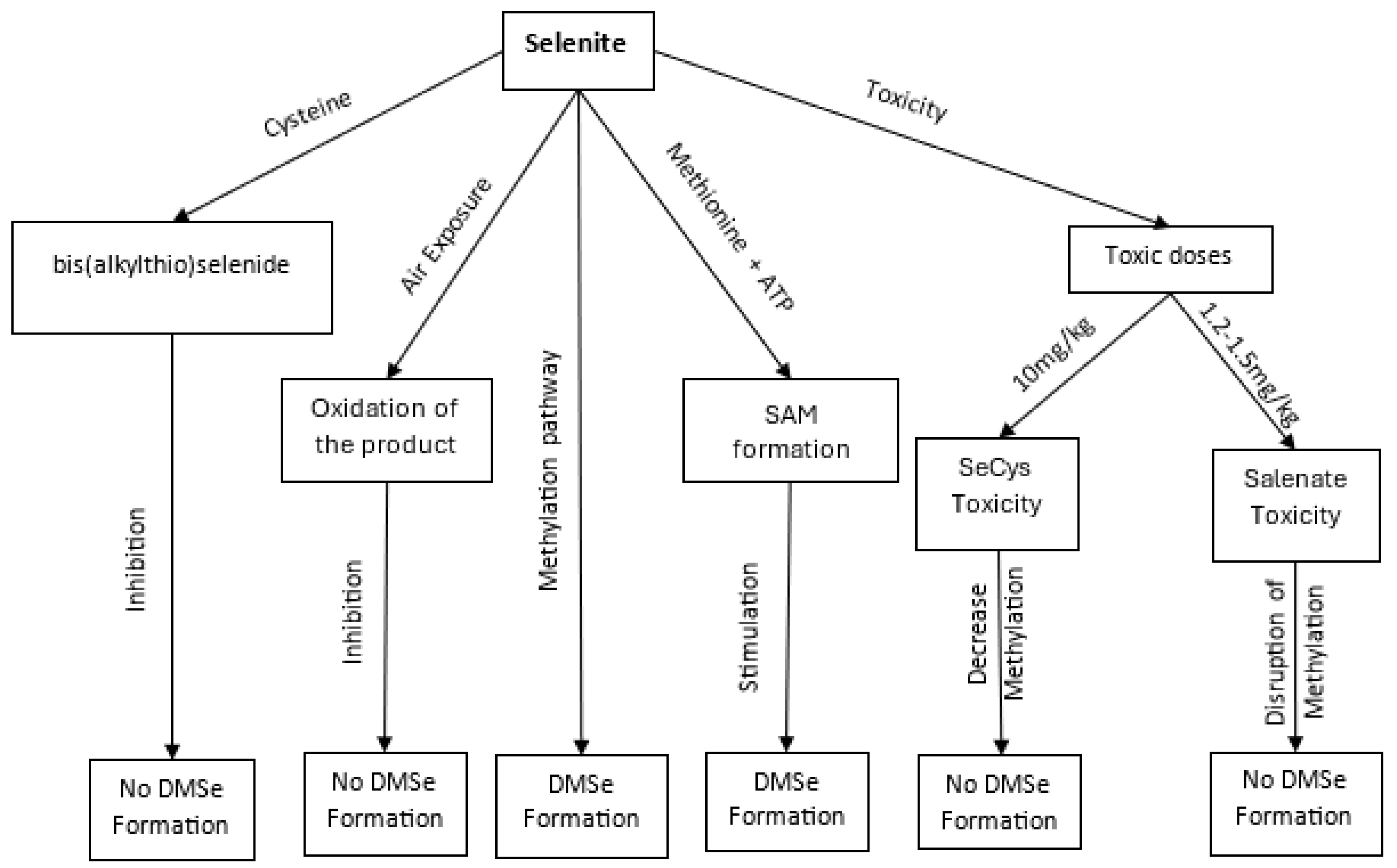 Preprints 162642 g003
