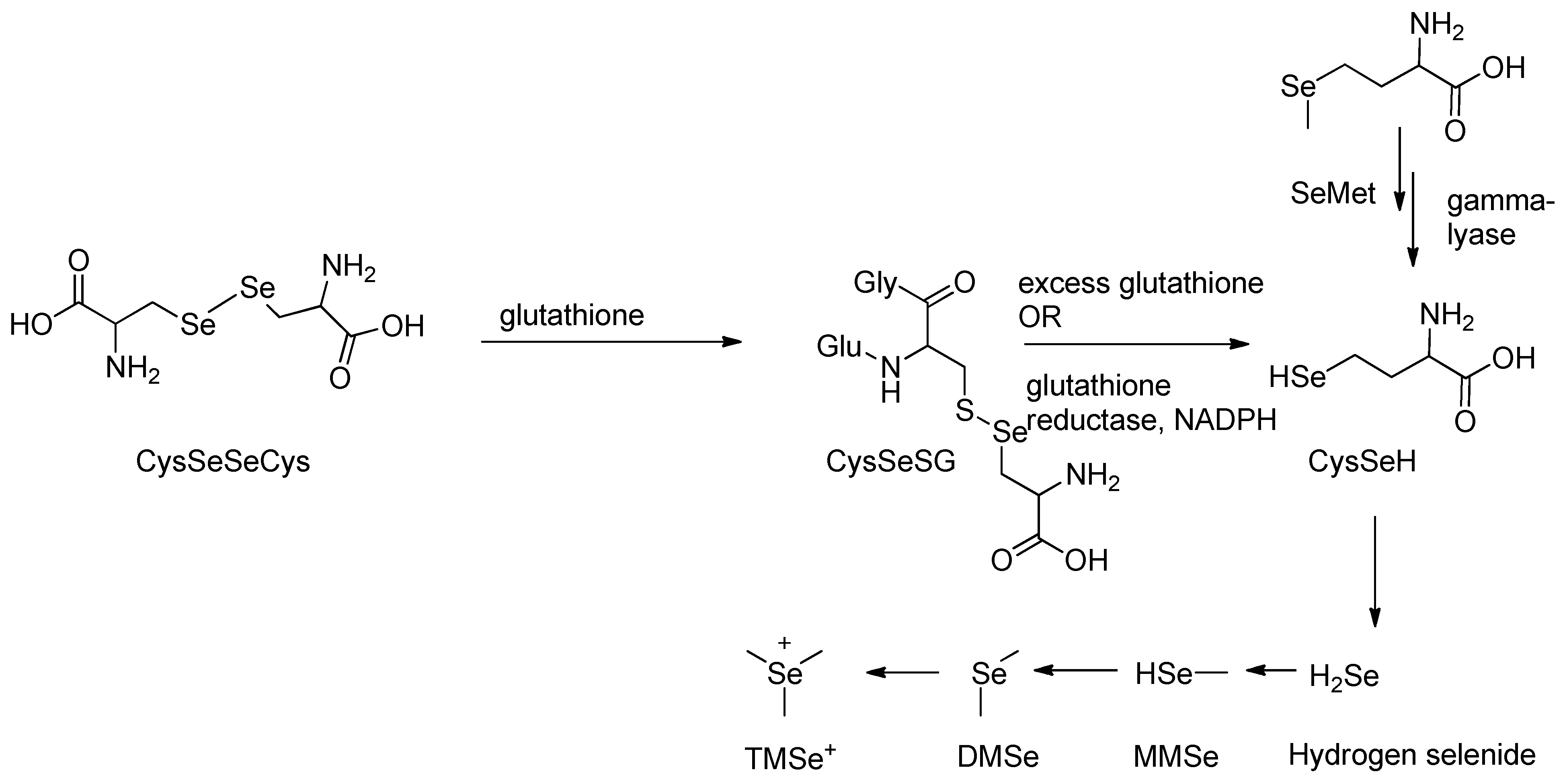 Preprints 162642 sch002