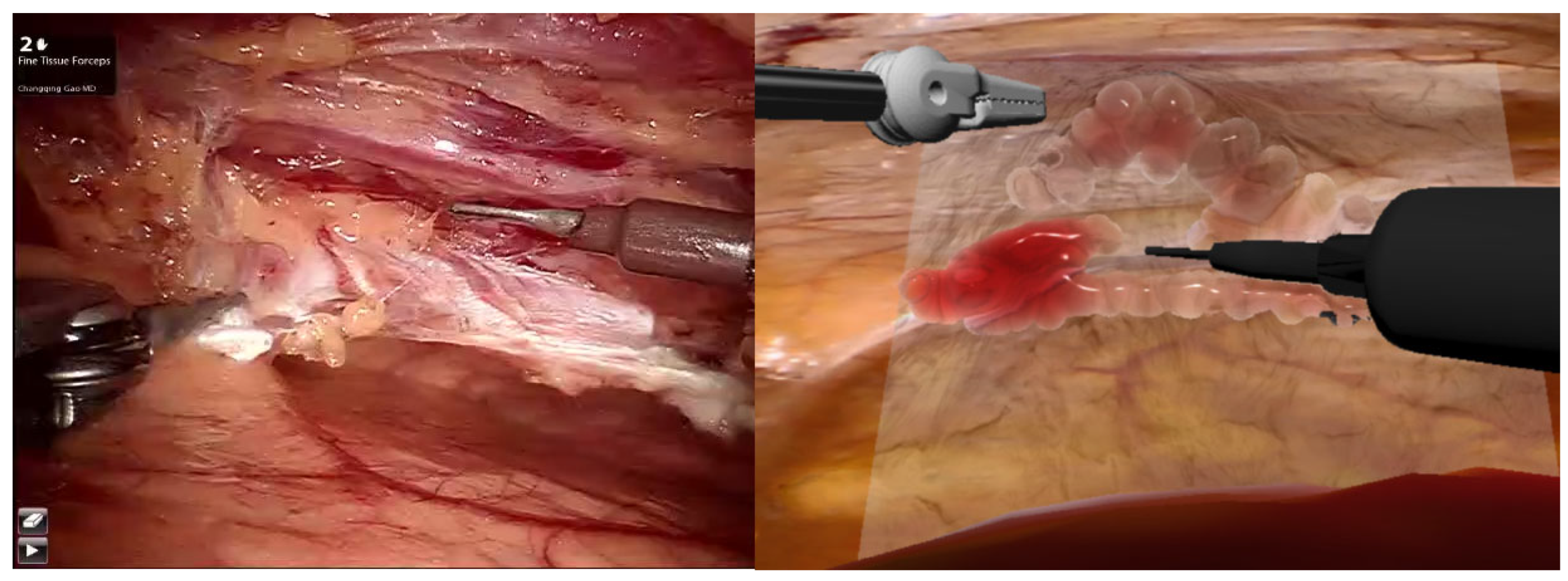 Preprints 148334 g003