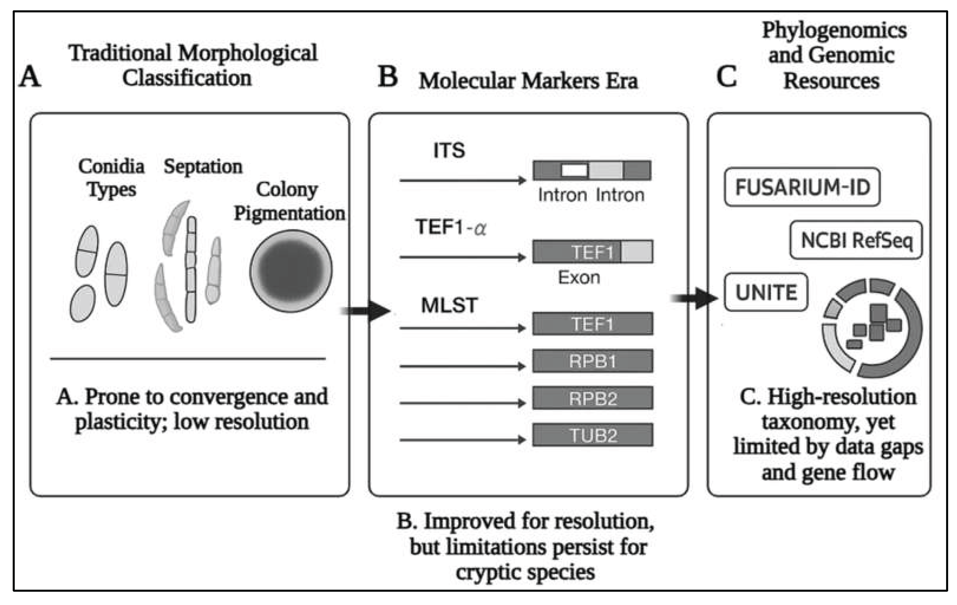 Preprints 165941 g001