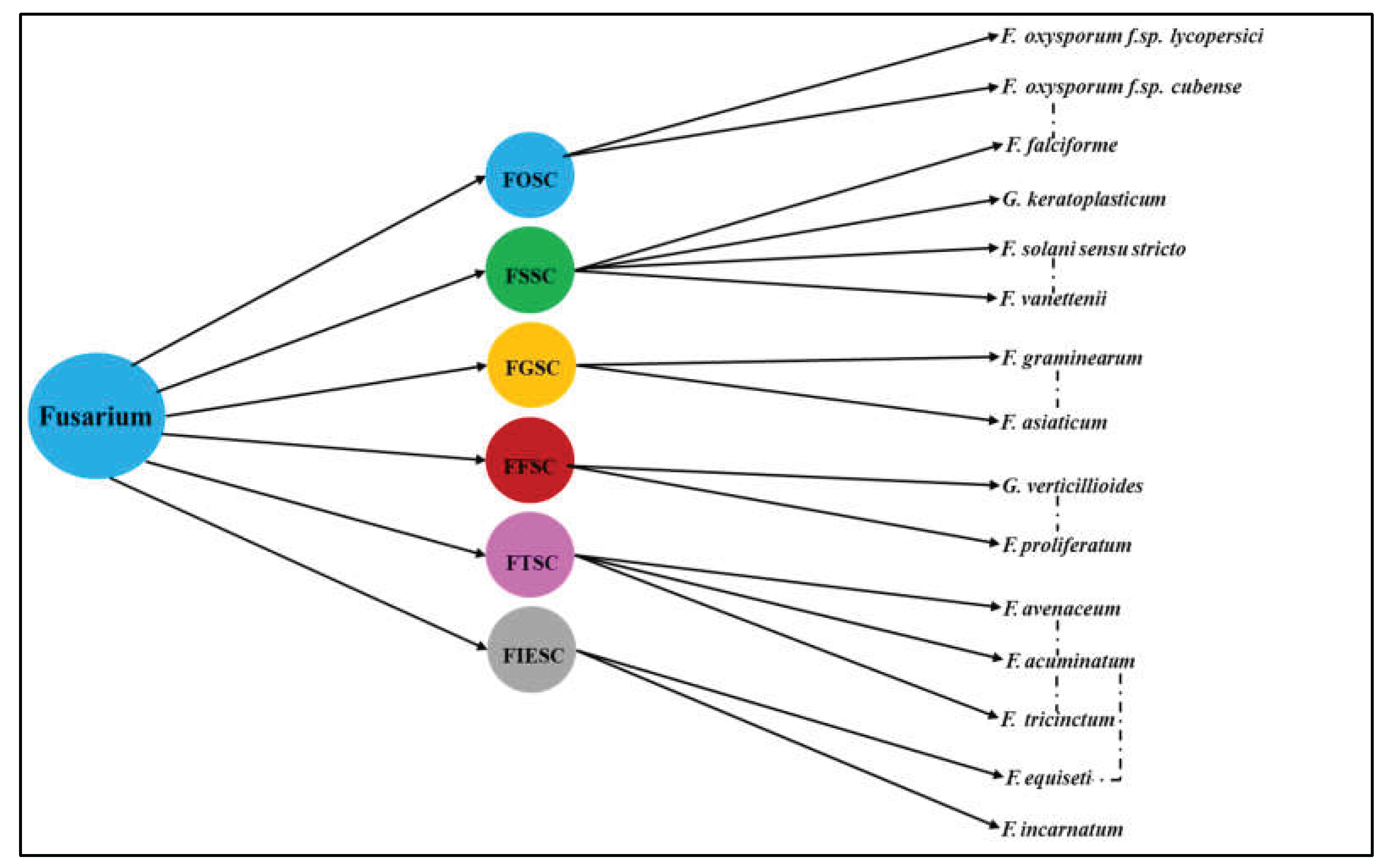 Preprints 165941 g002