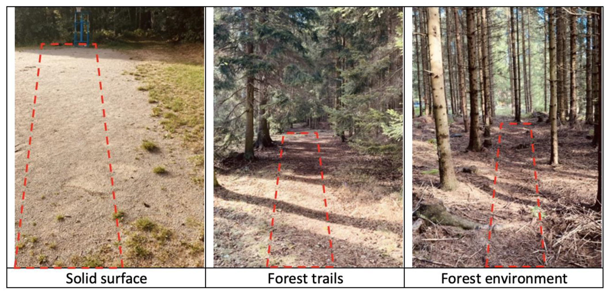 Preprints 146997 g001