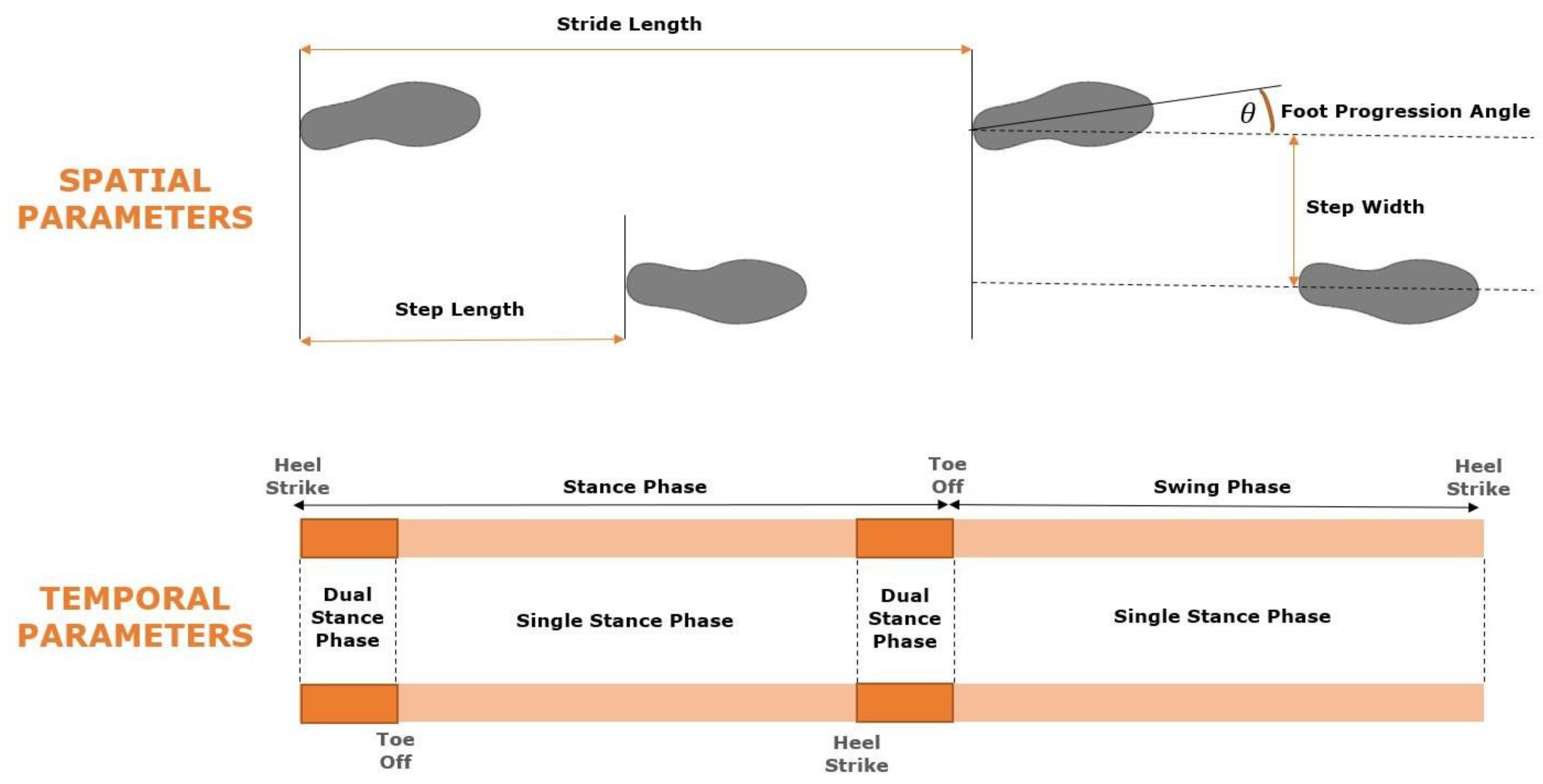 Preprints 146997 g002
