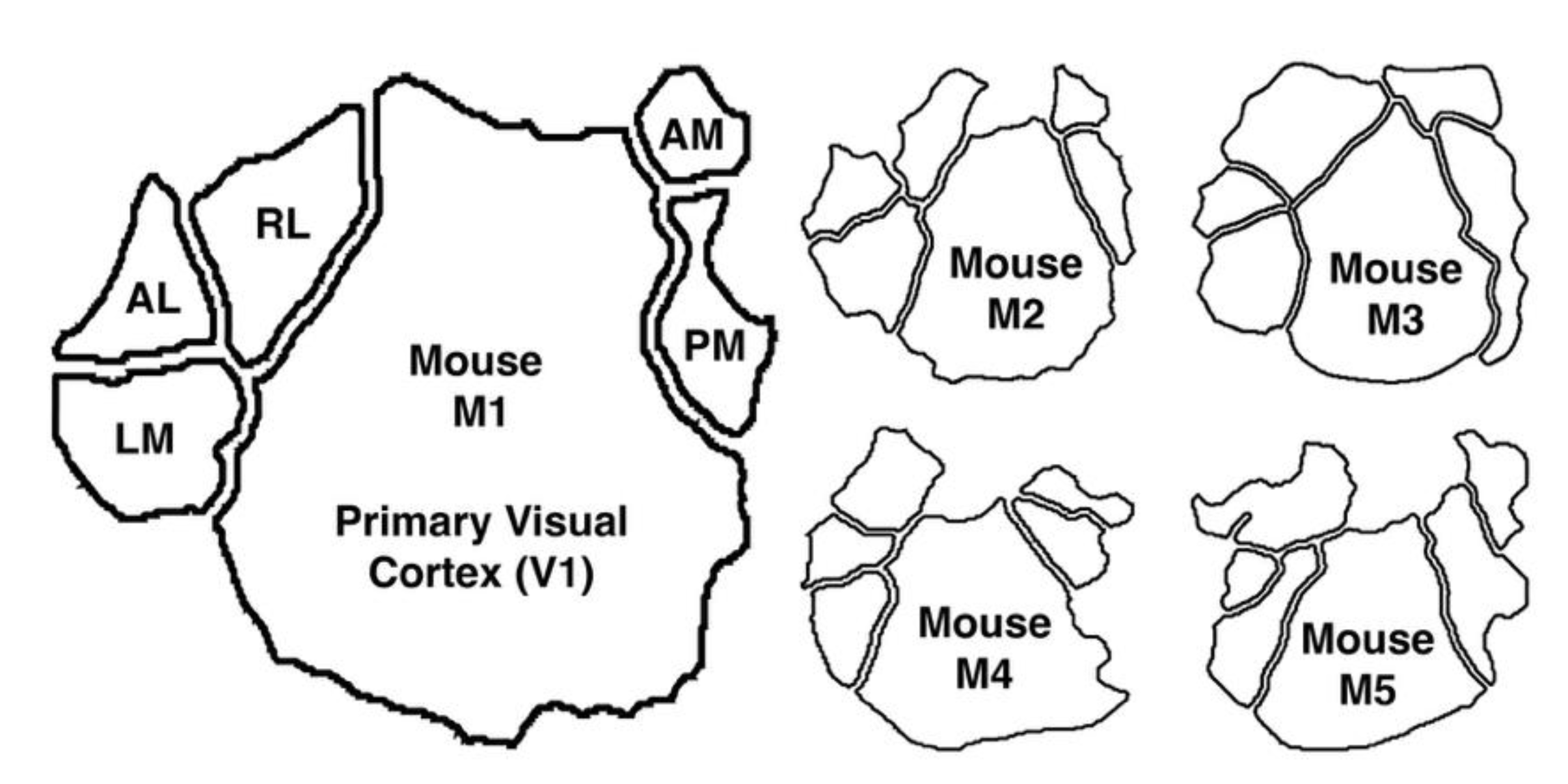 Preprints 173705 g001