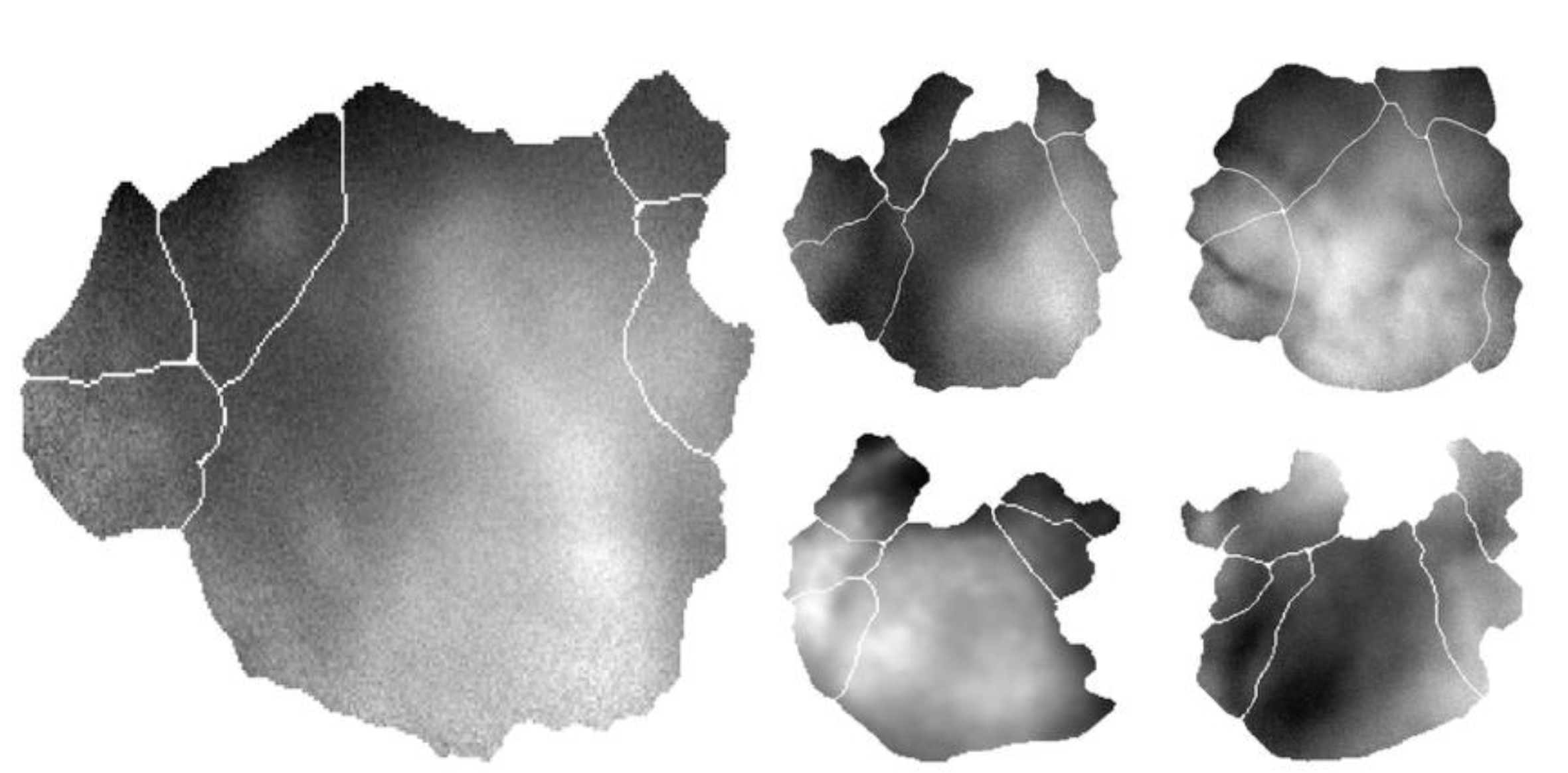 Preprints 173705 g002