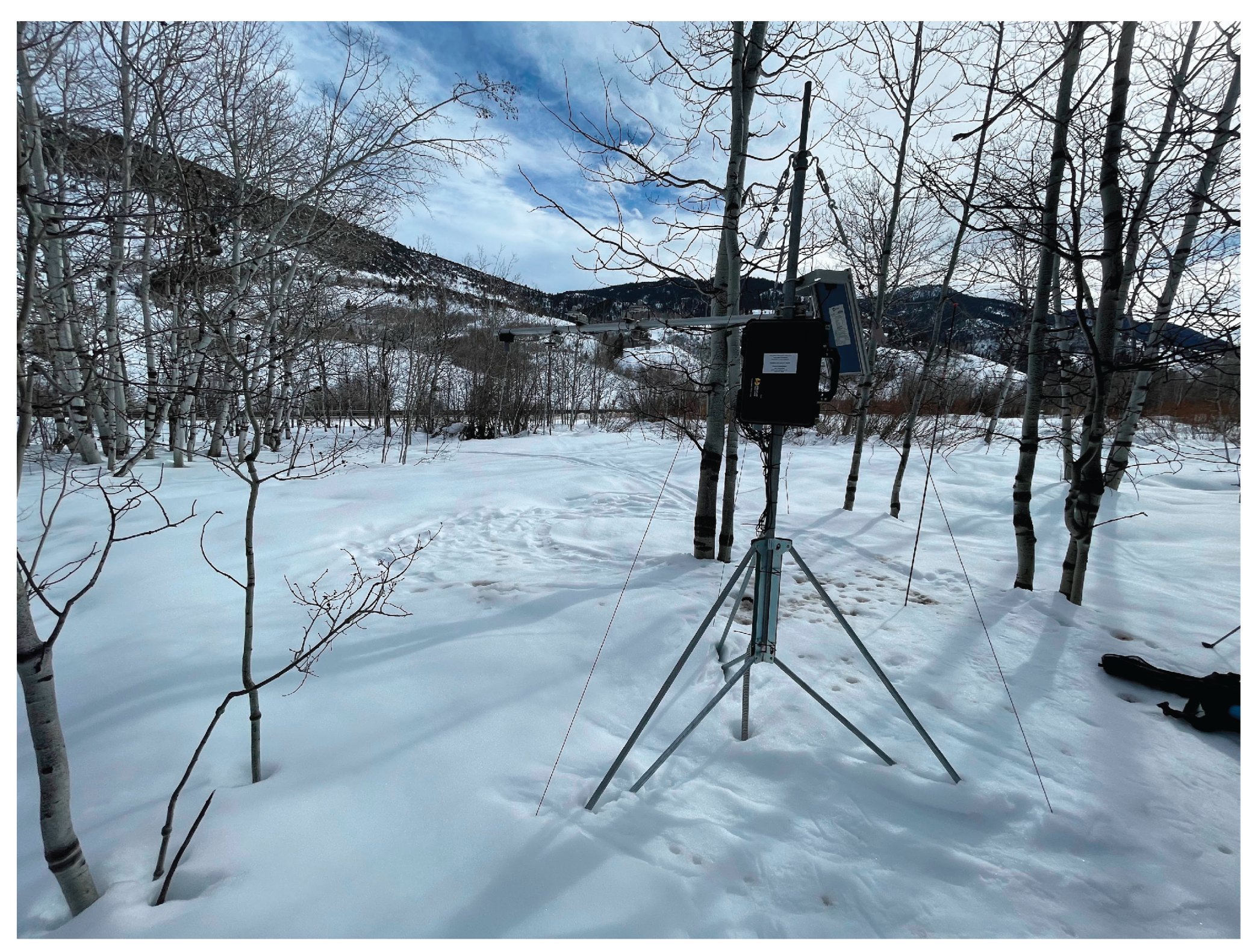 Preprints 192033 g006