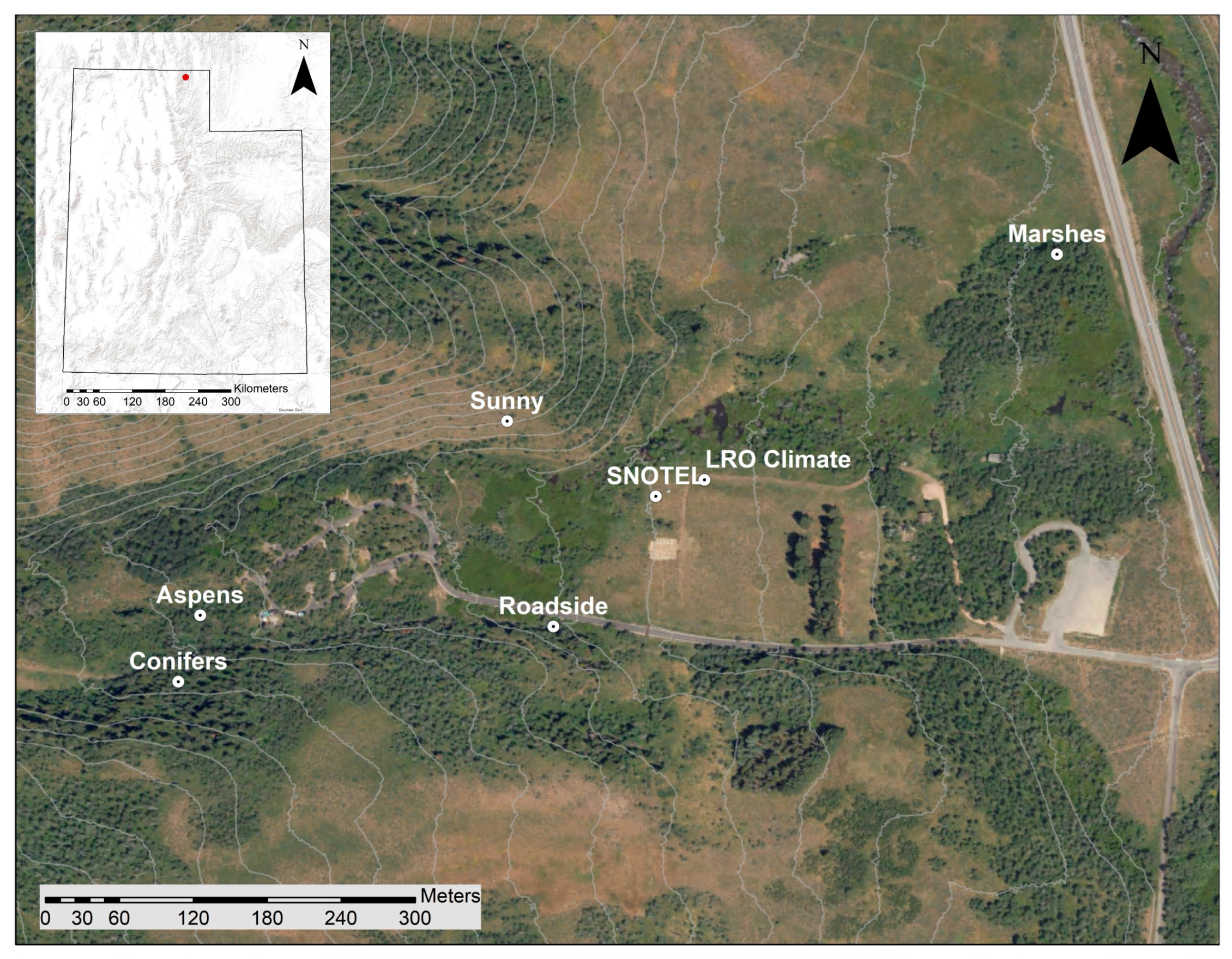 Preprints 192033 g008