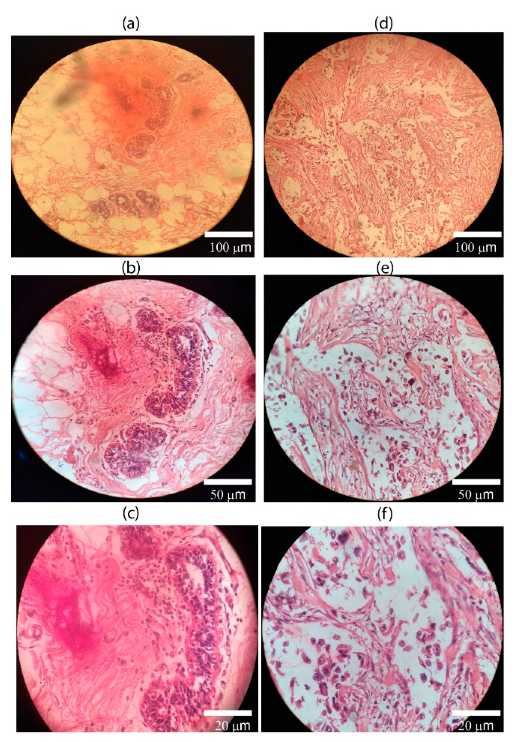 Preprints 174465 g003