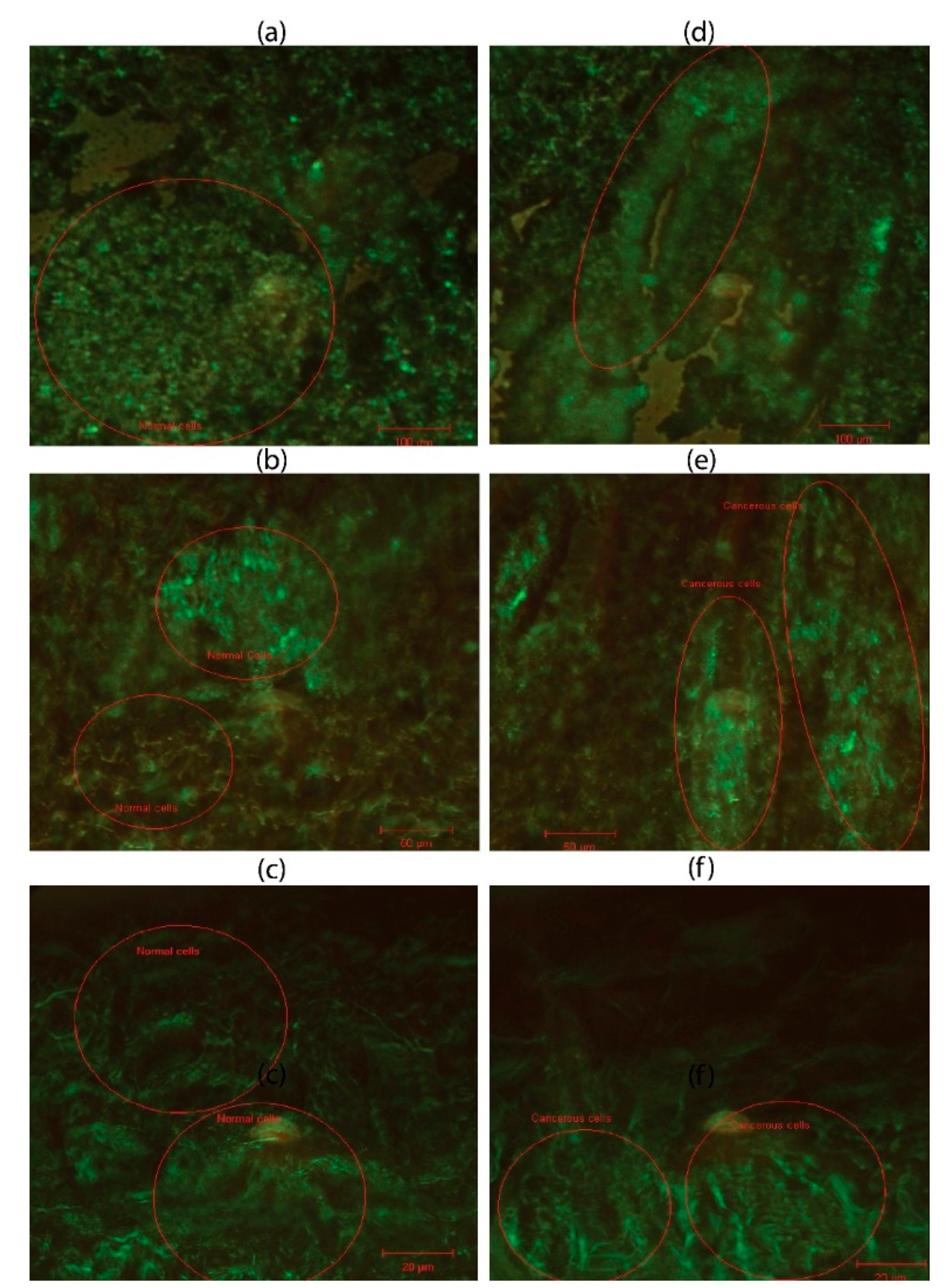 Preprints 174465 g004
