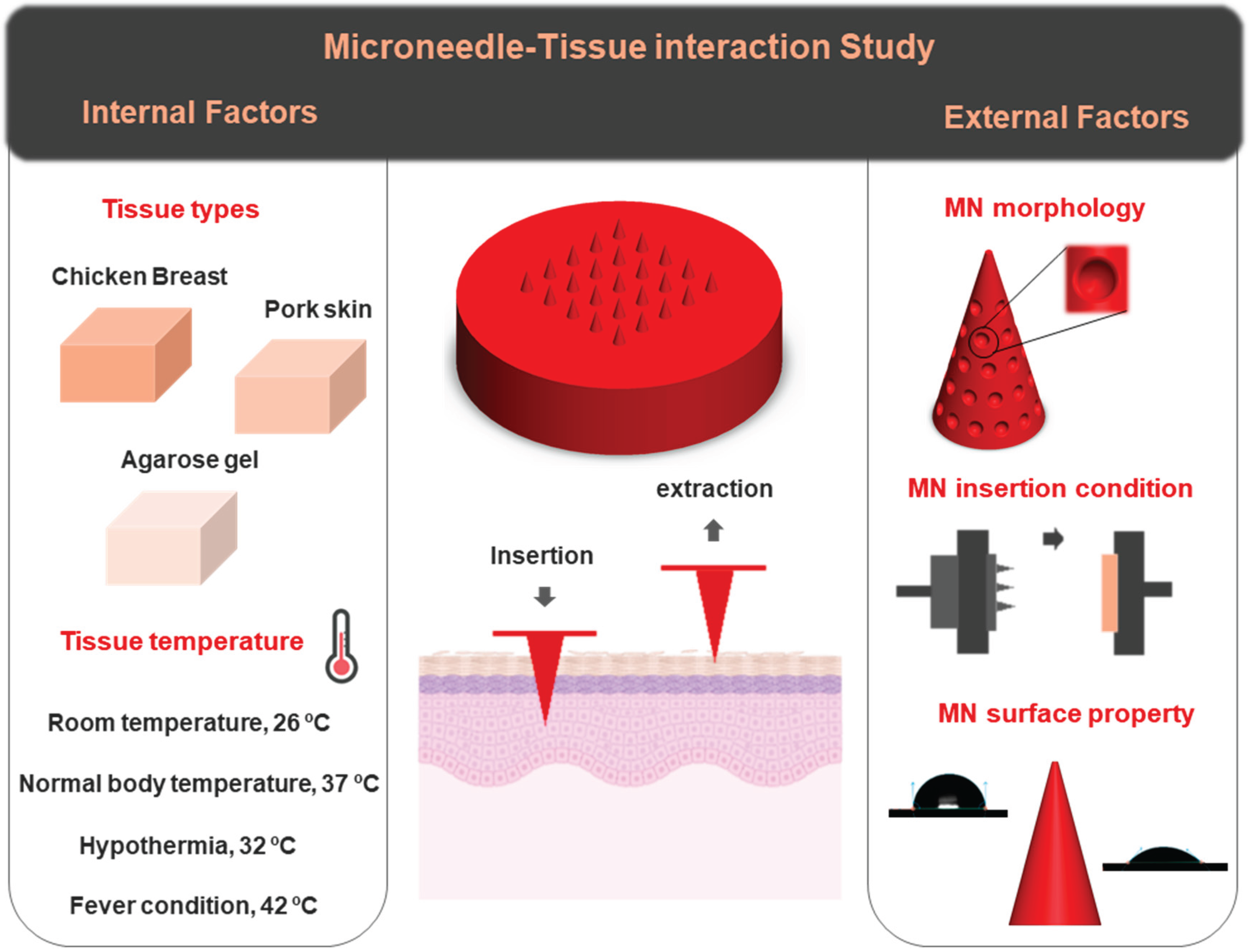 Preprints 165044 g001