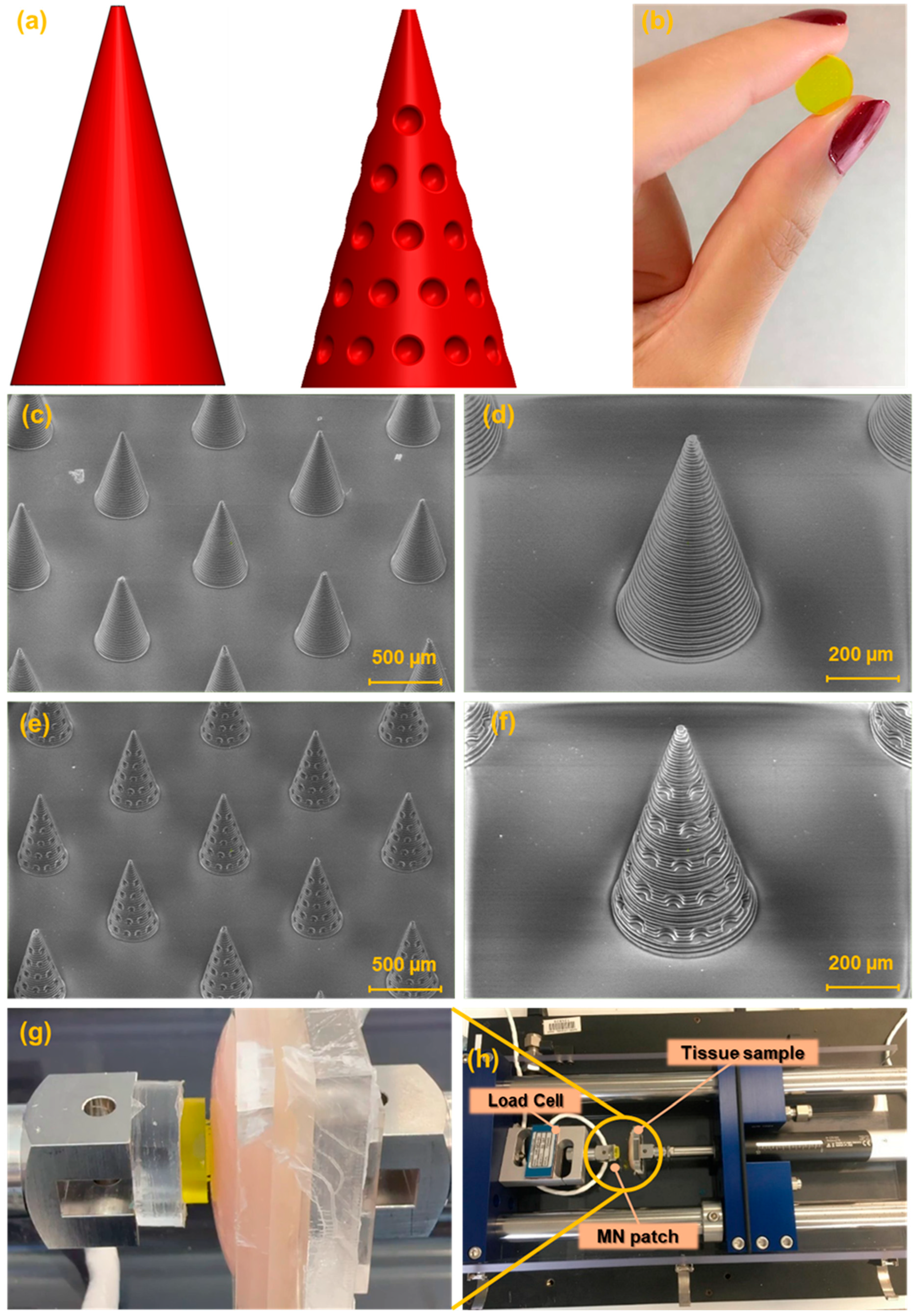 Preprints 165044 g002