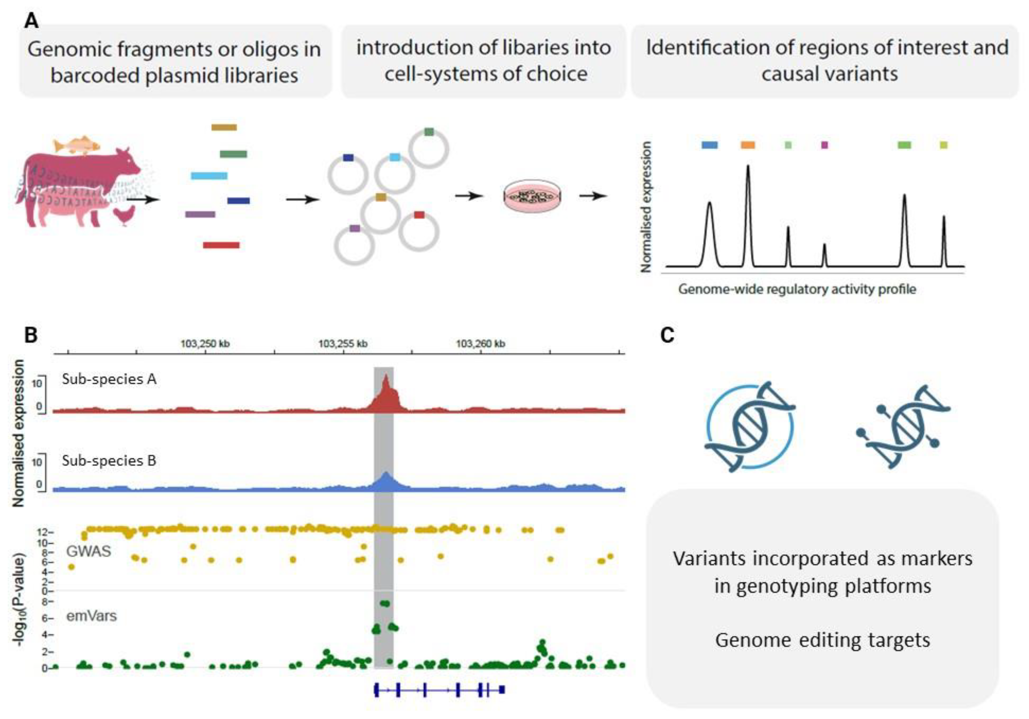 Preprints 224160 g001 Preprints 224160 g001