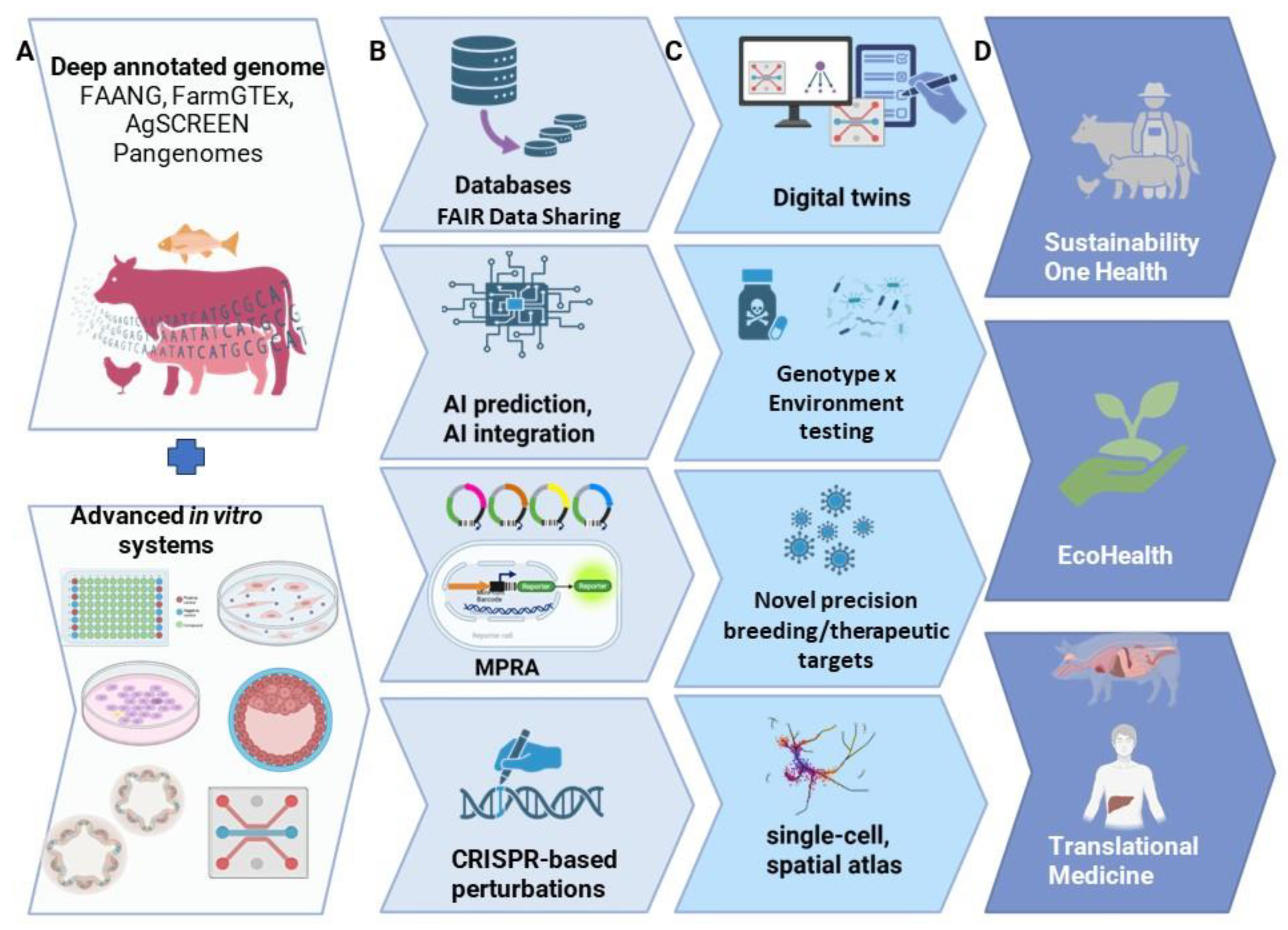 Preprints 224160 g002 Preprints 224160 g002