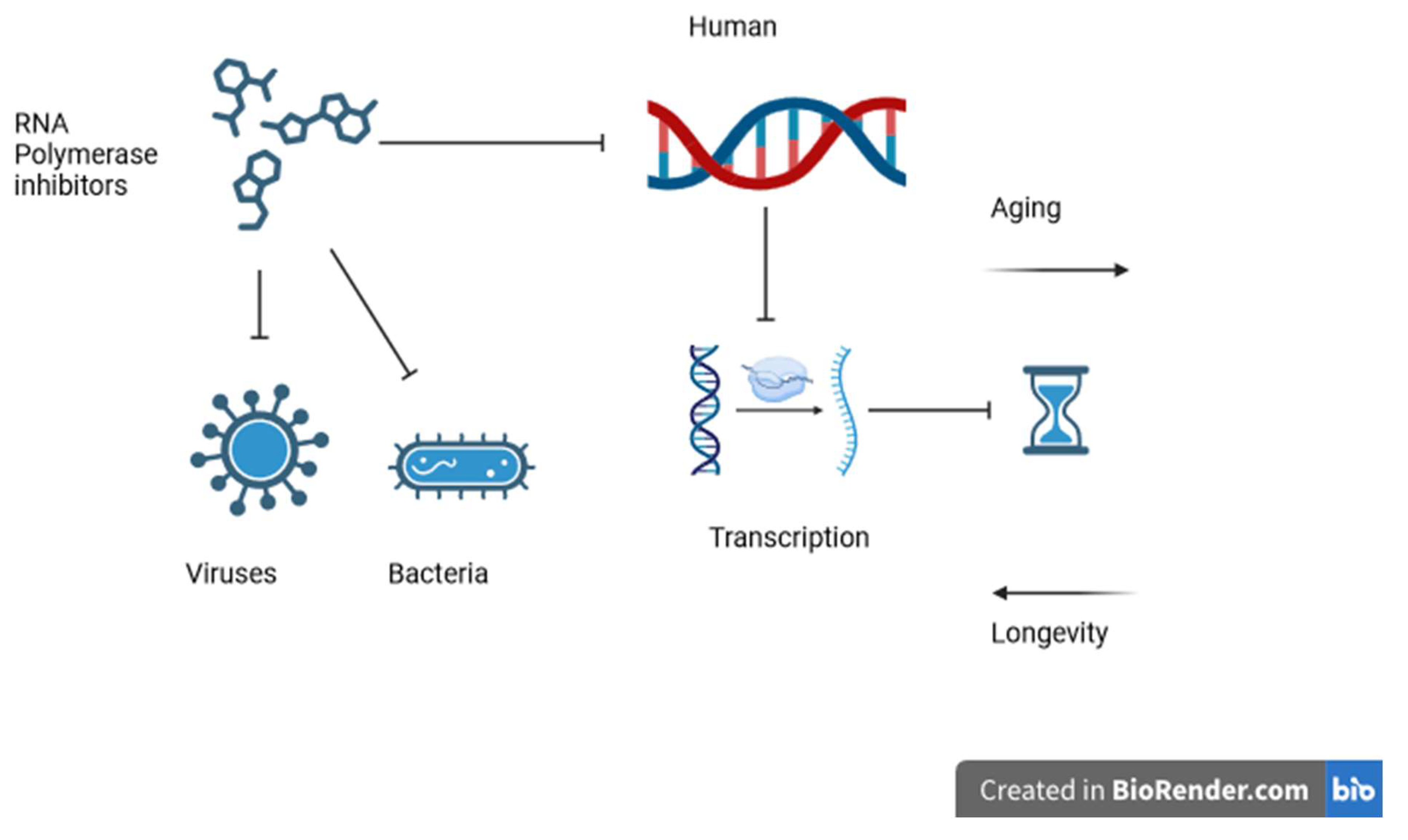 Preprints 149838 g001