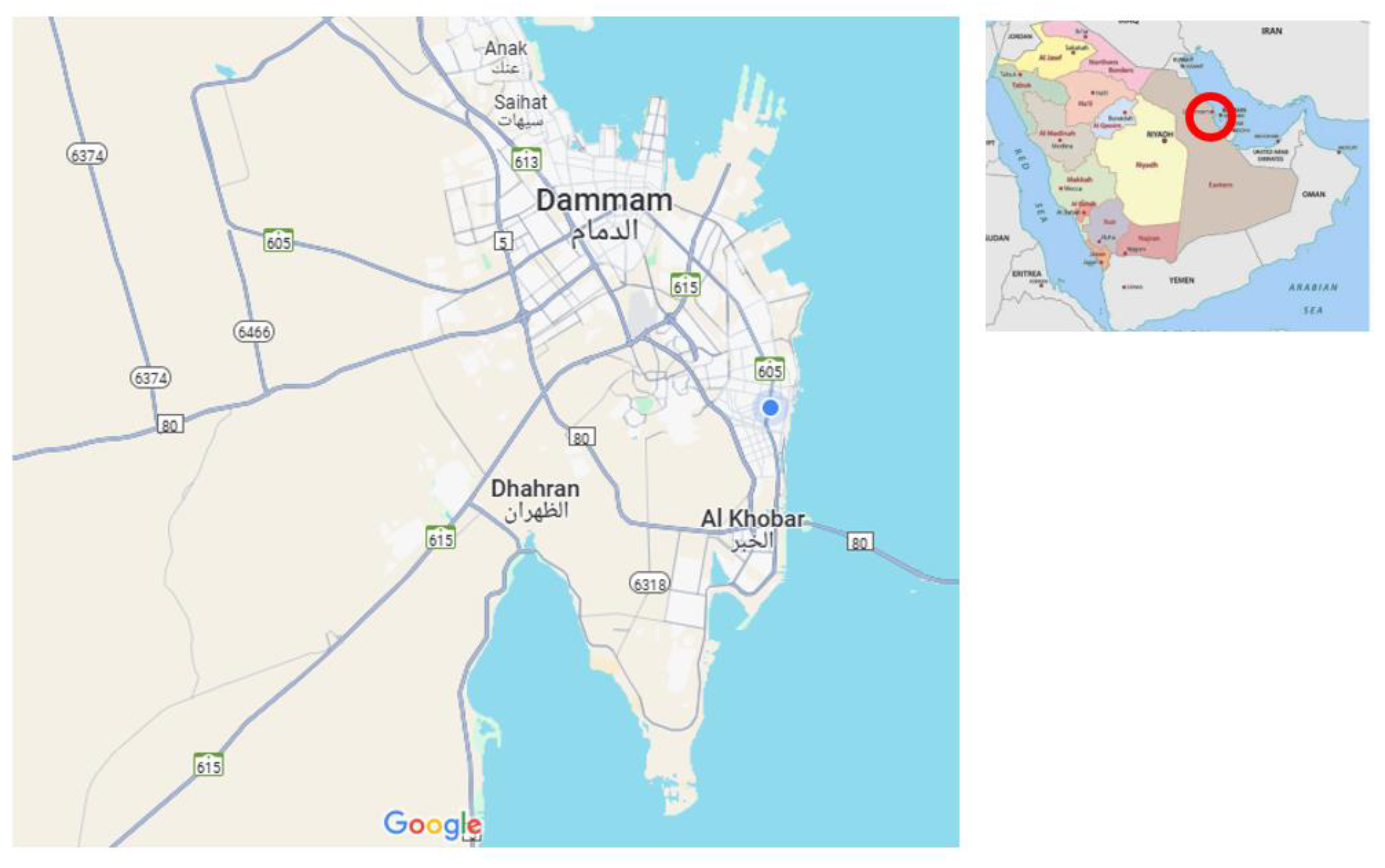 Preprints 151723 g002