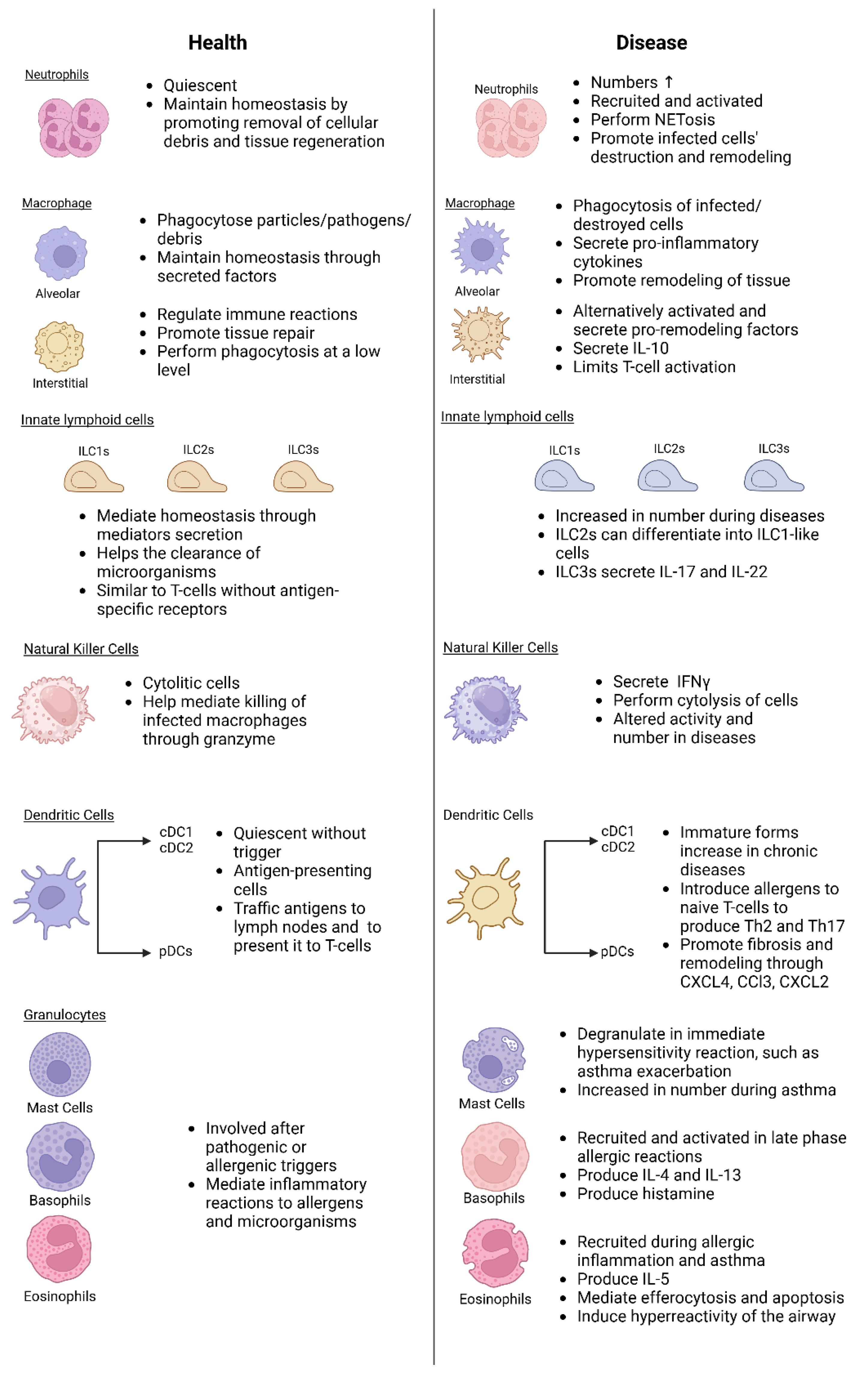 Preprints 144384 g001