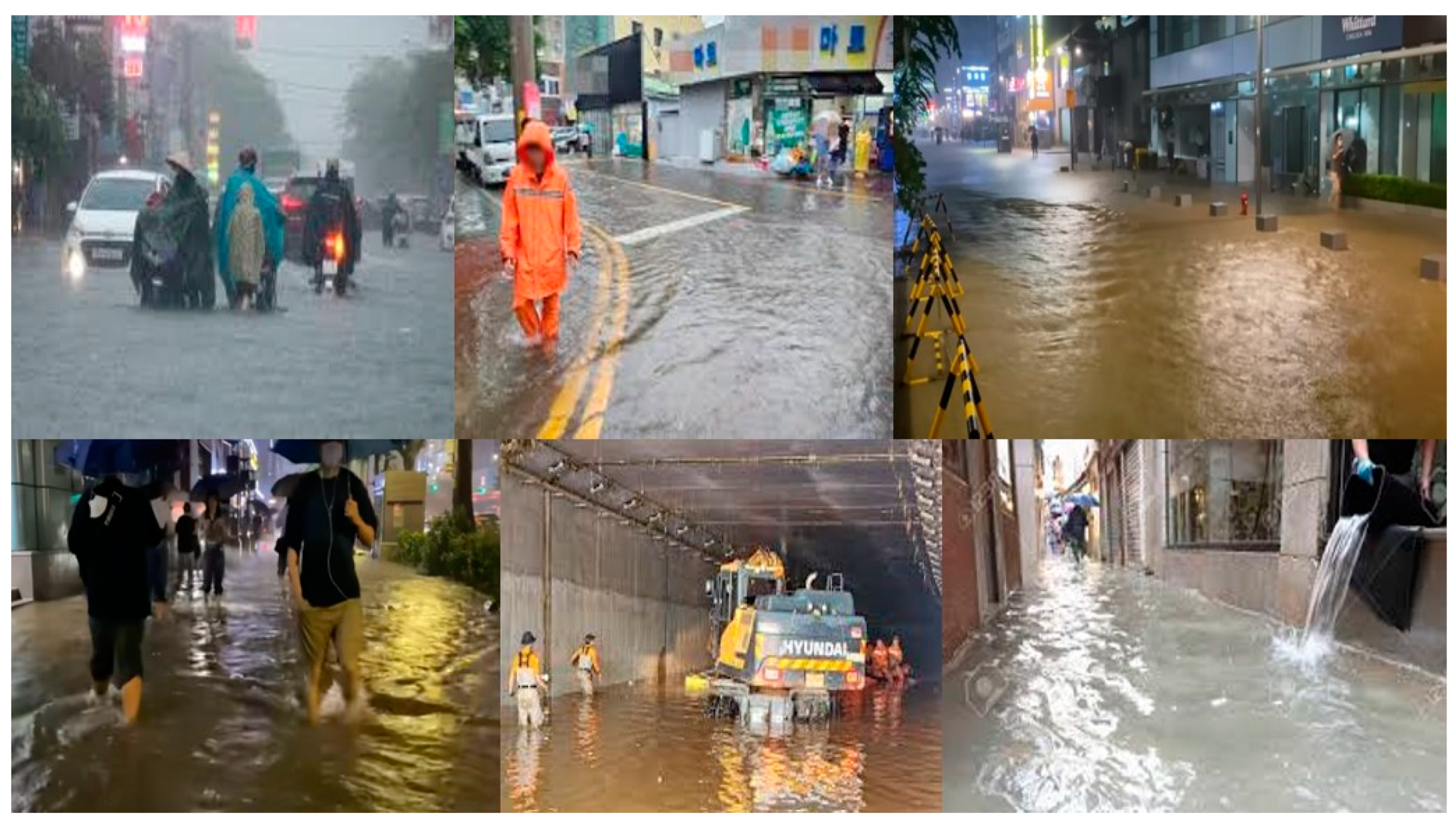 Preprints 154421 g002