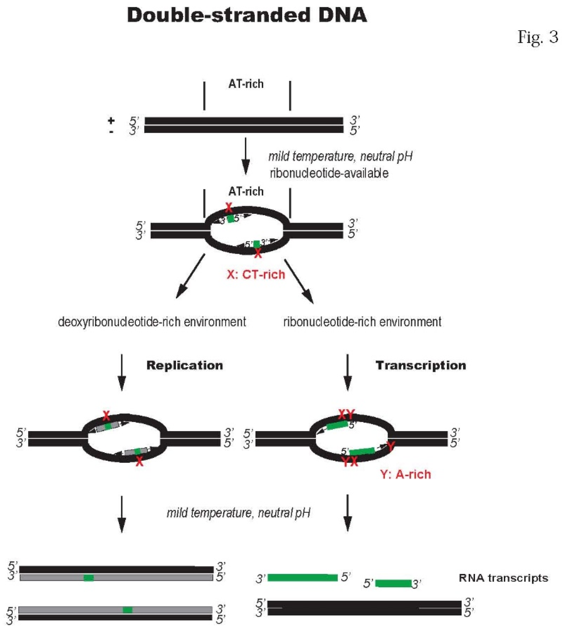Preprints 211988 g003