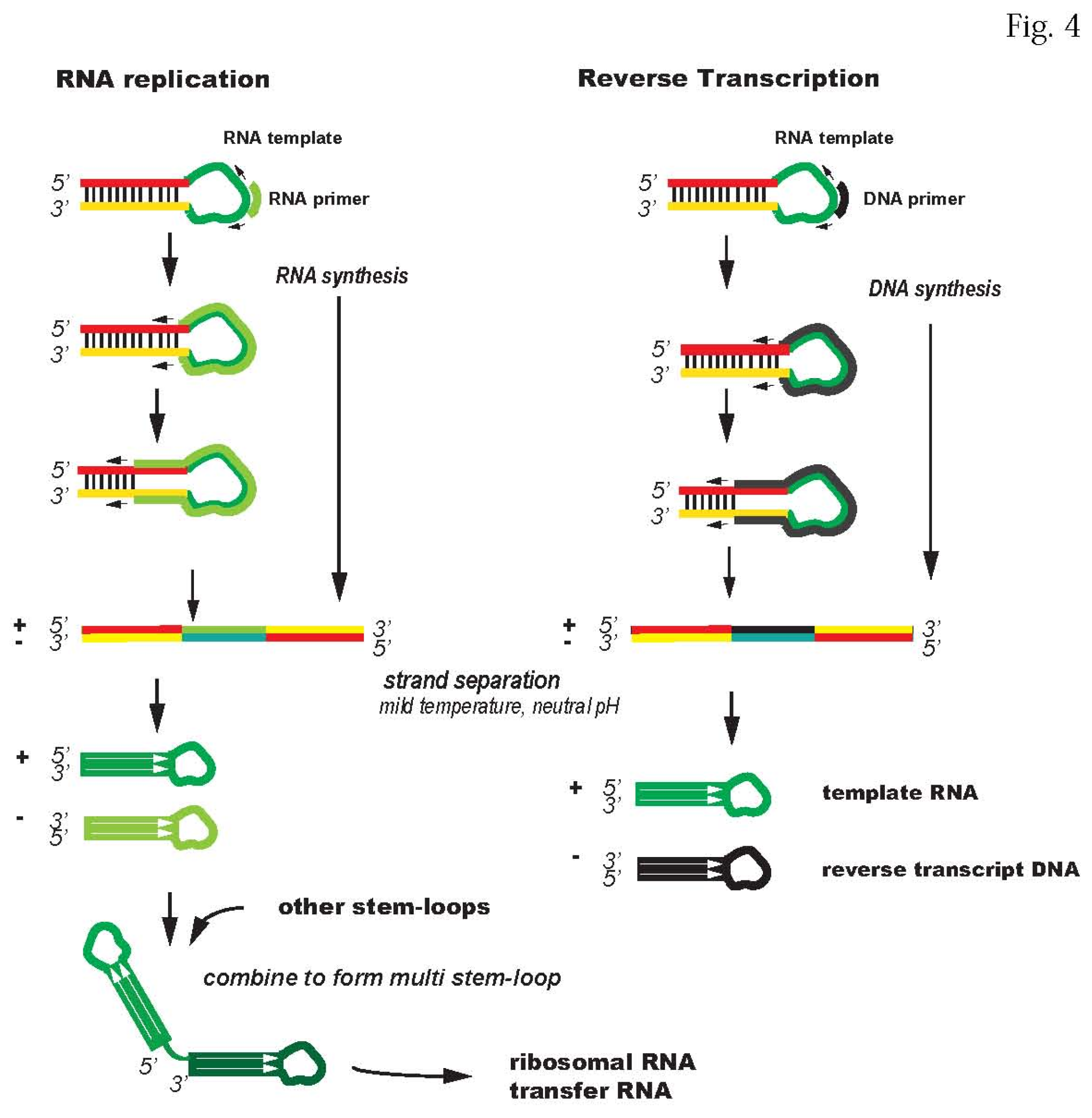 Preprints 211988 g004