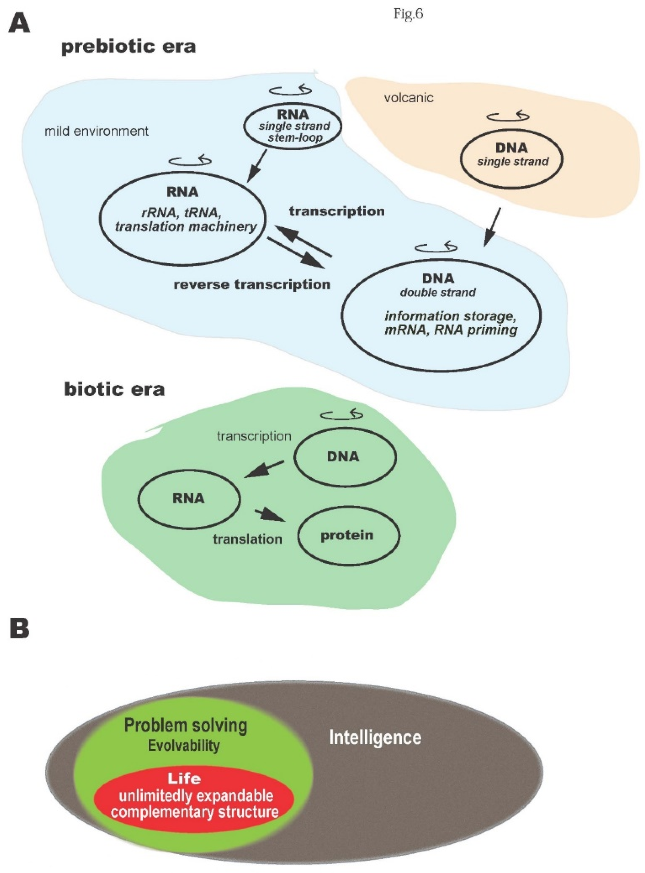 Preprints 211988 g006