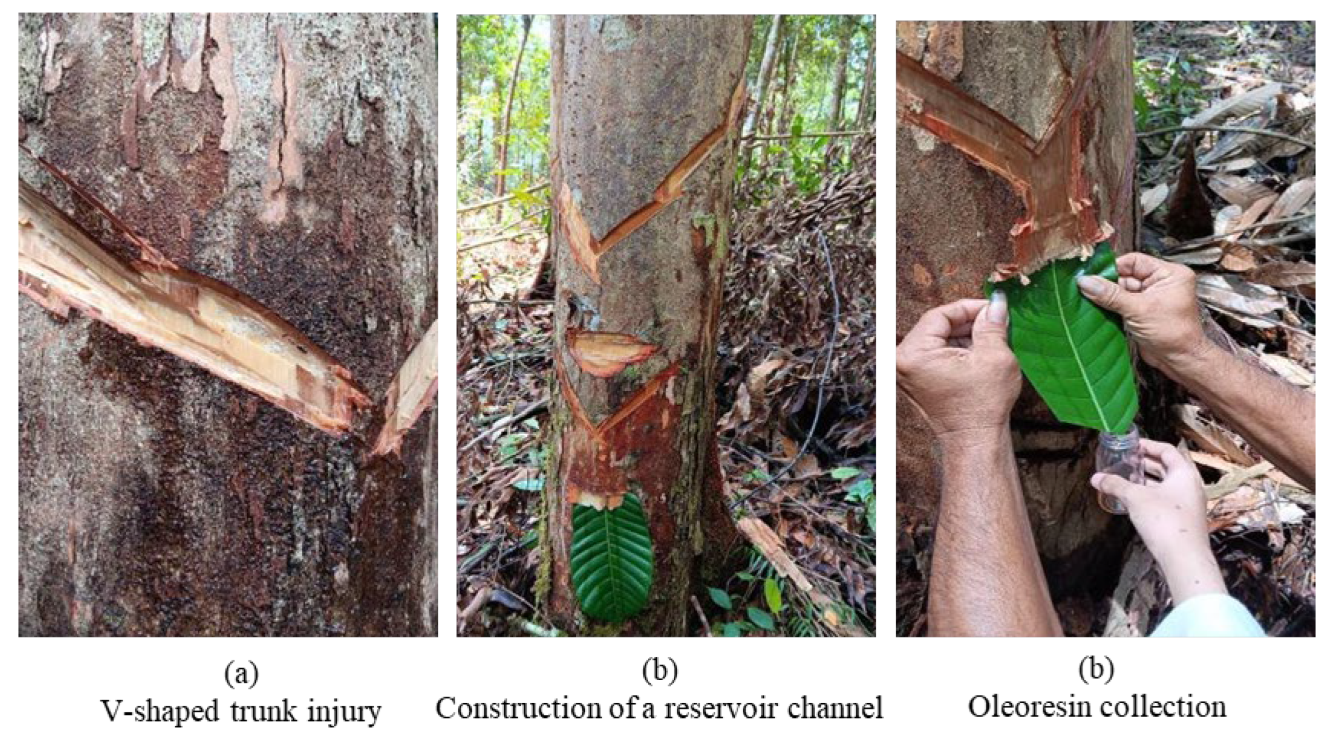 Preprints 176813 g004