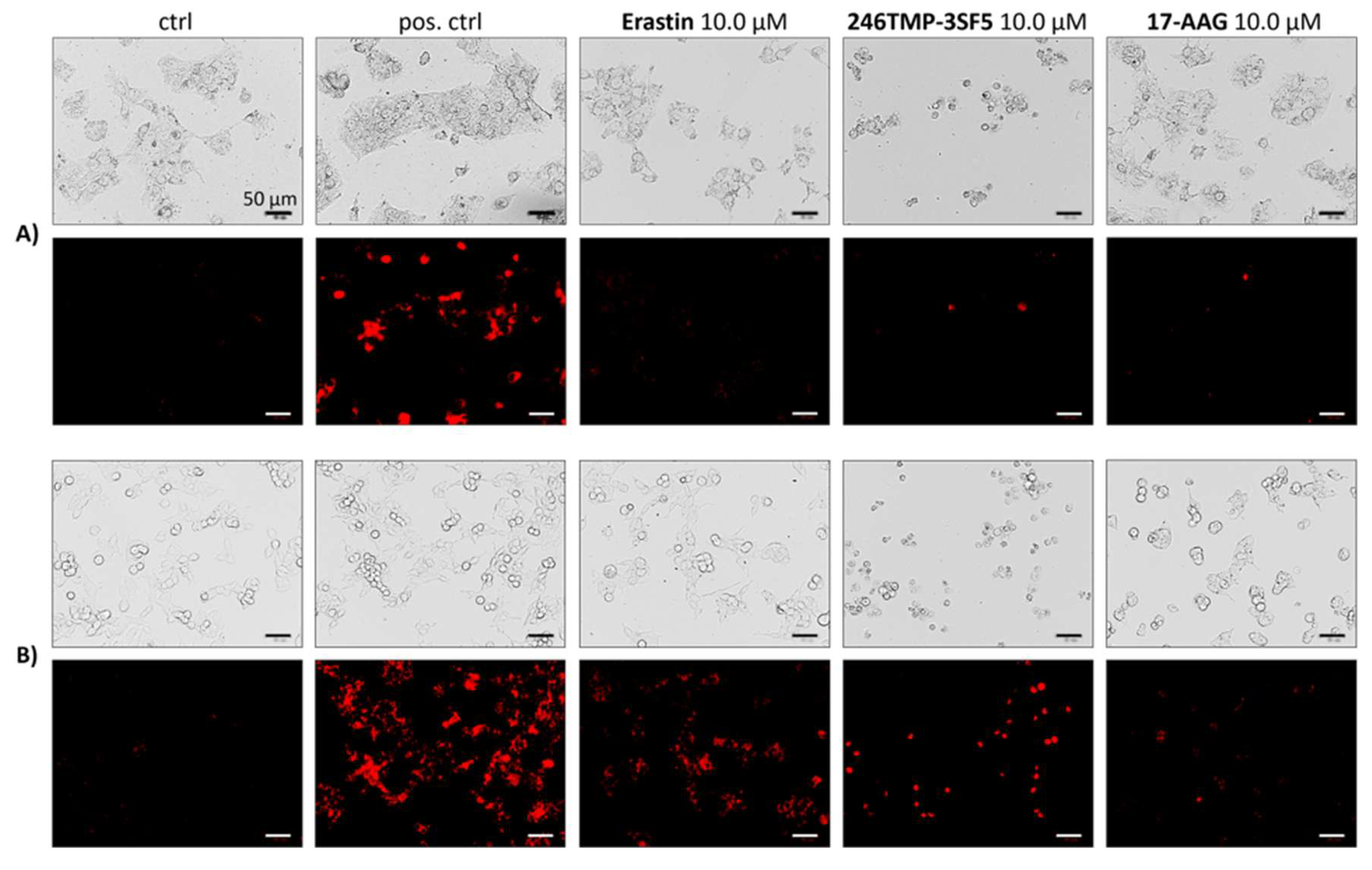 Preprints 218712 g003