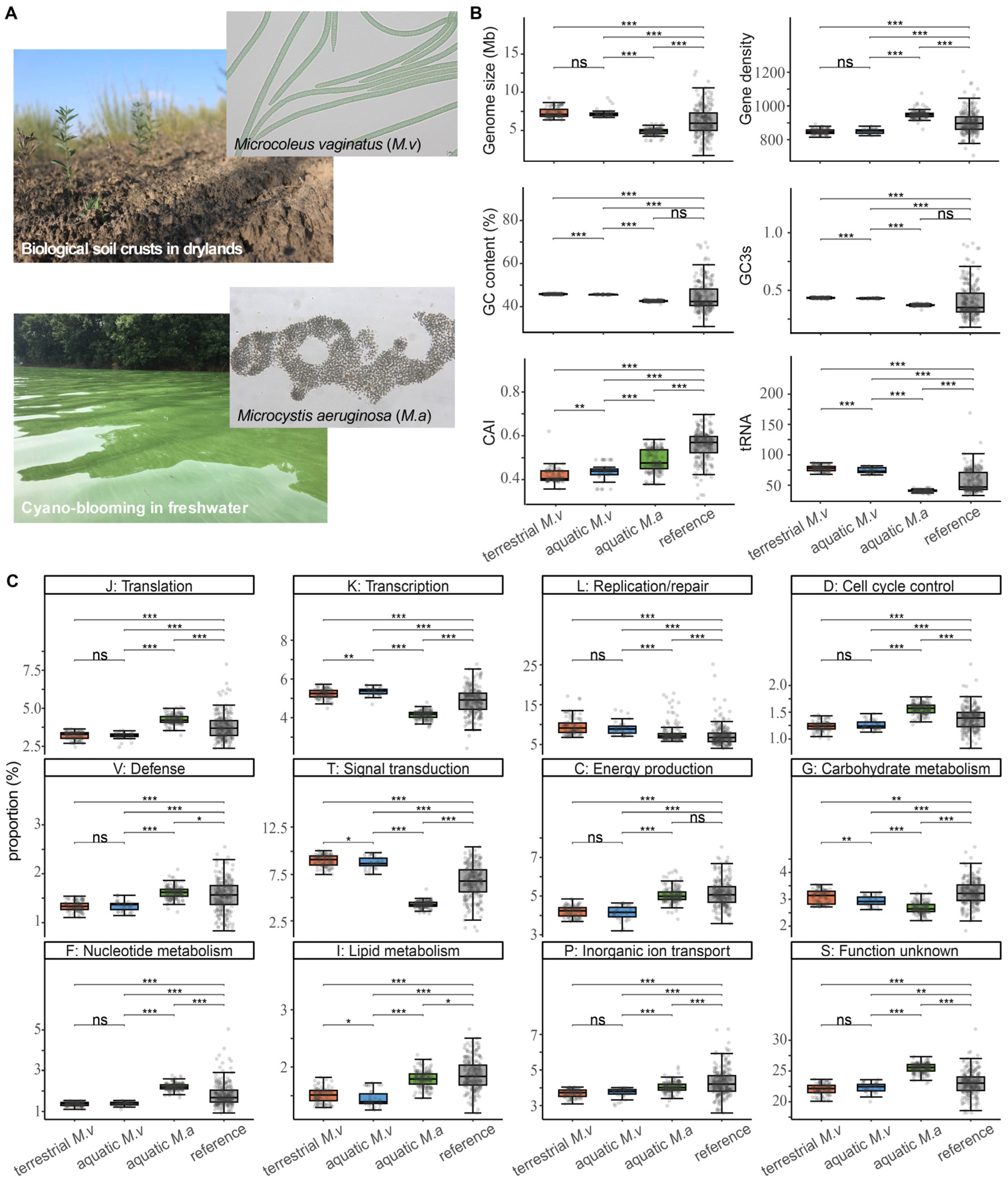 Preprints 209401 g001