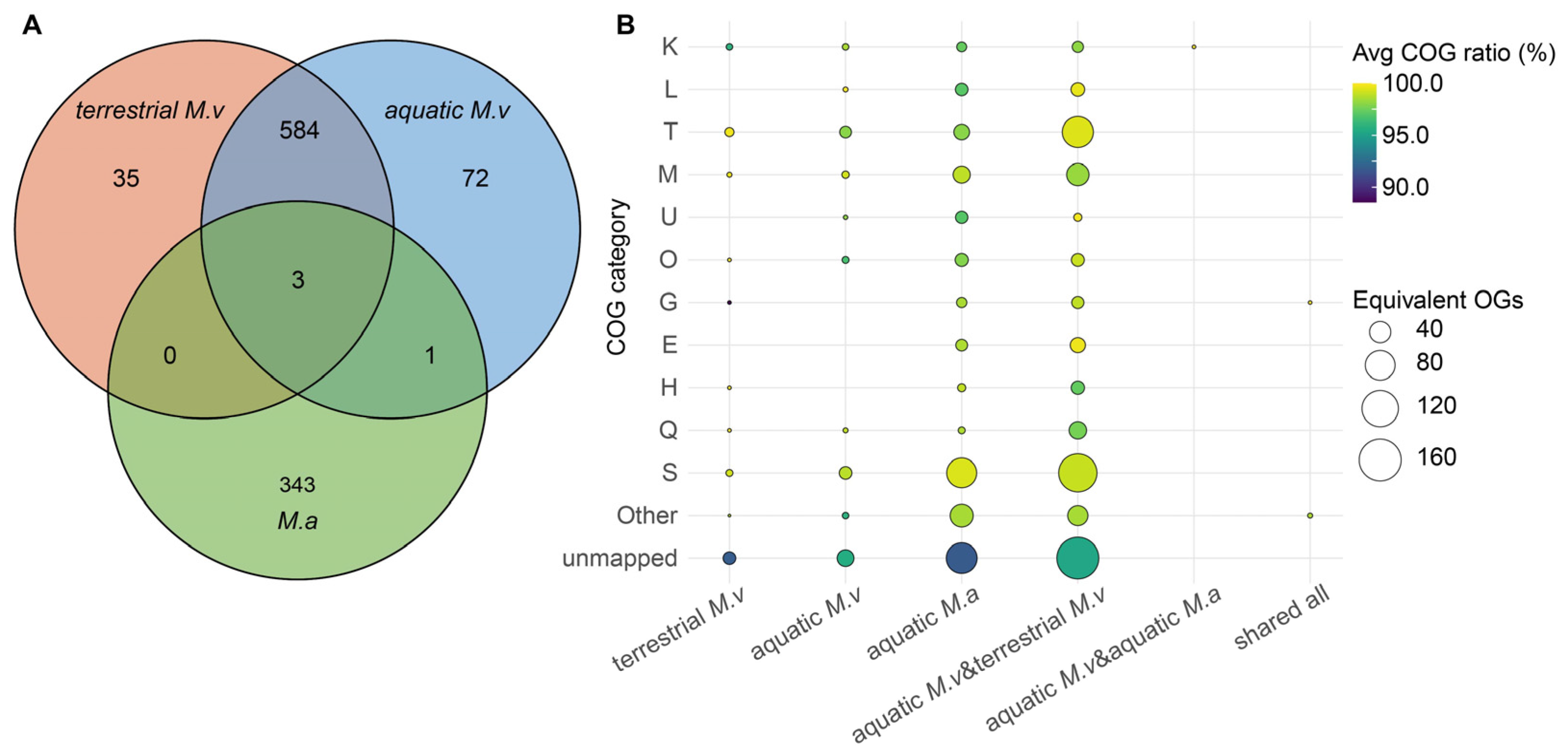 Preprints 209401 g003