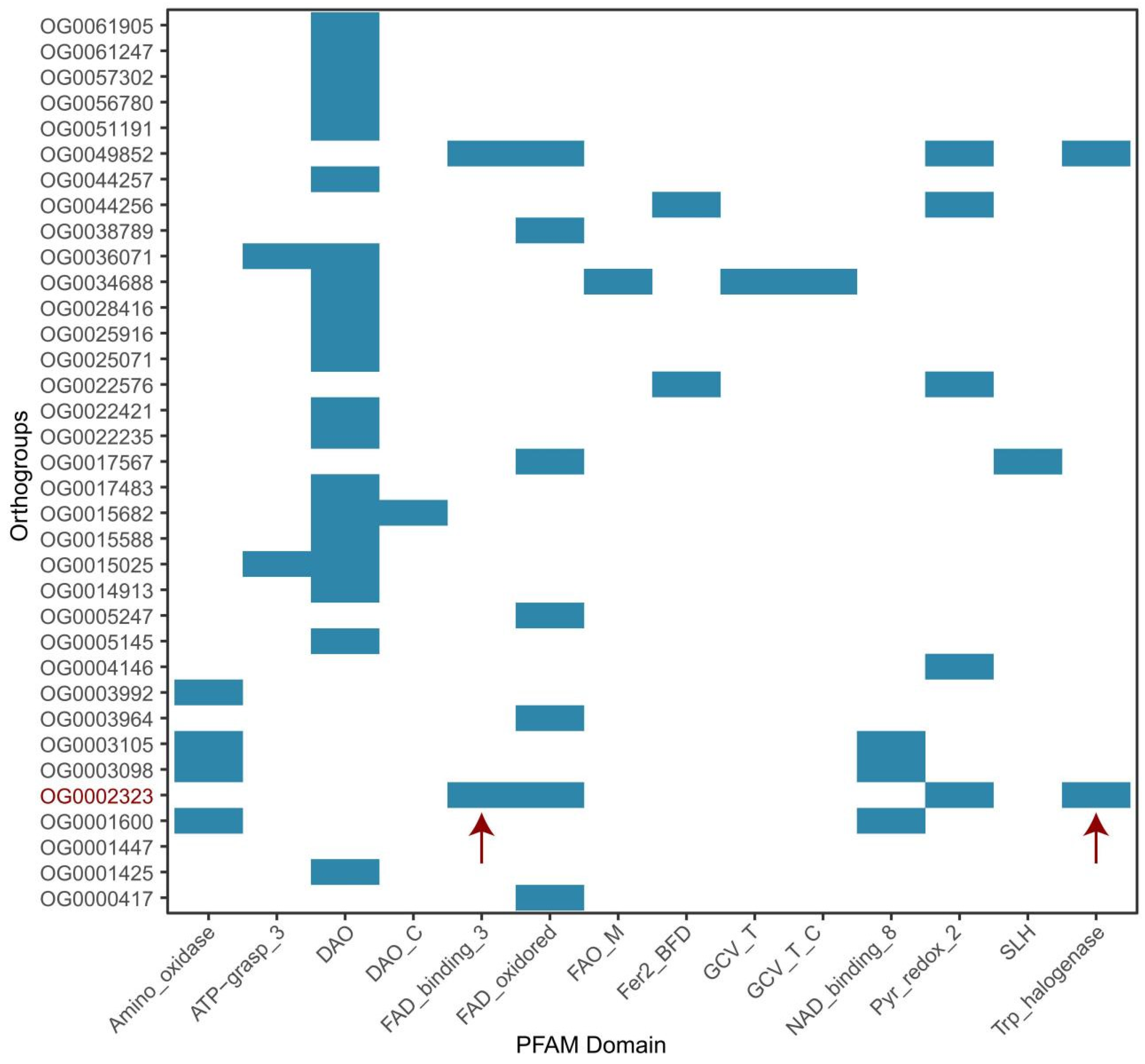 Preprints 209401 g004