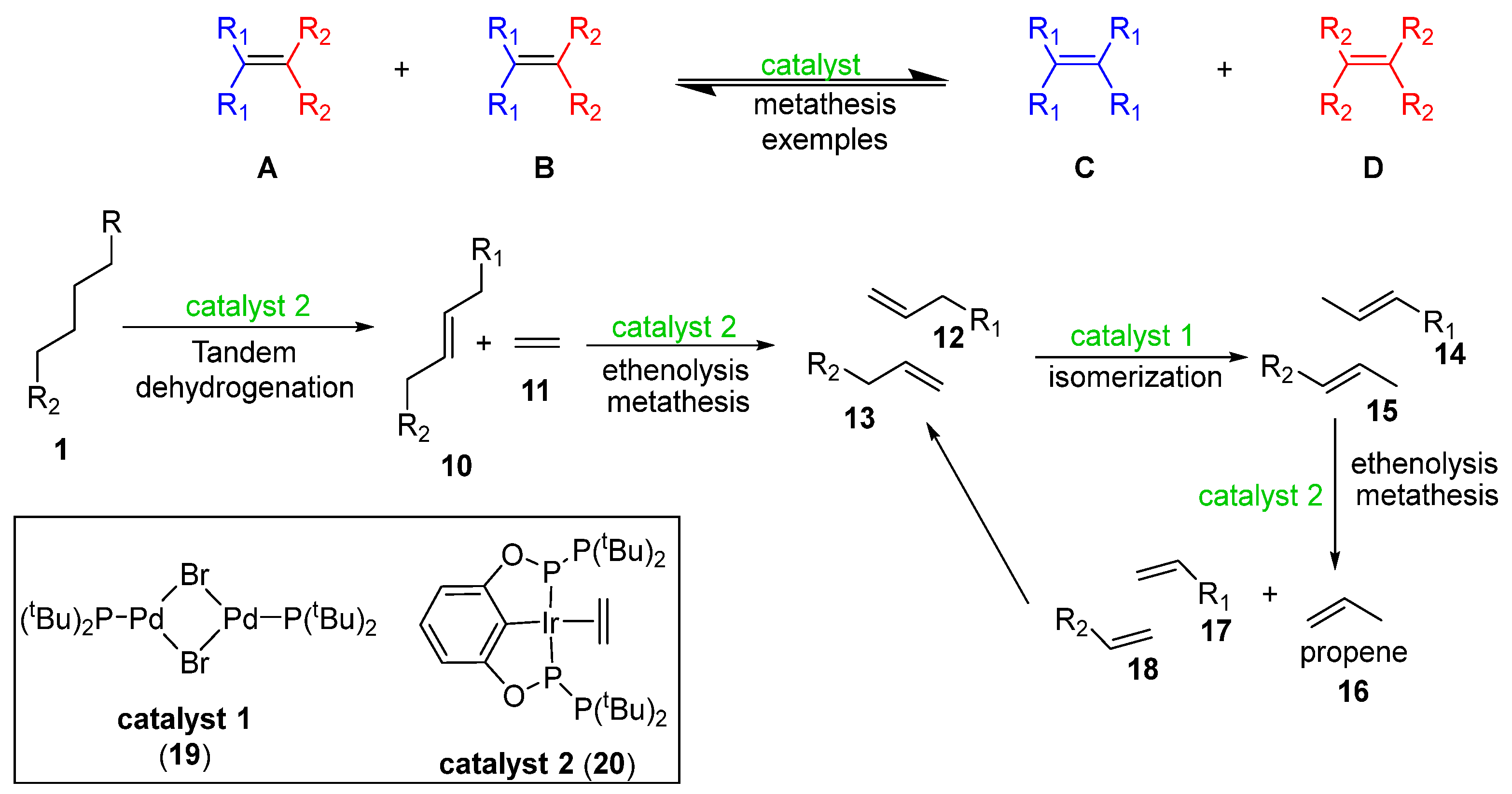 Preprints 138352 sch001