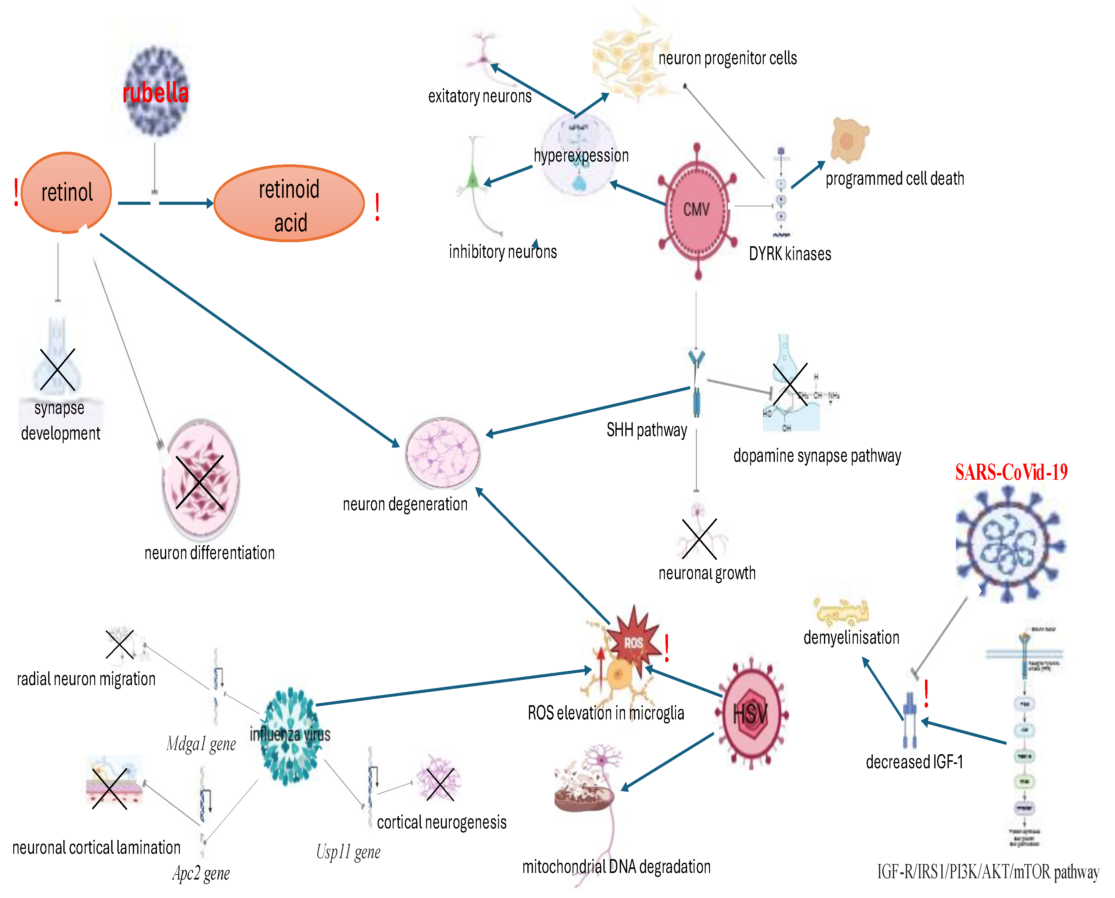 Preprints 154308 g002