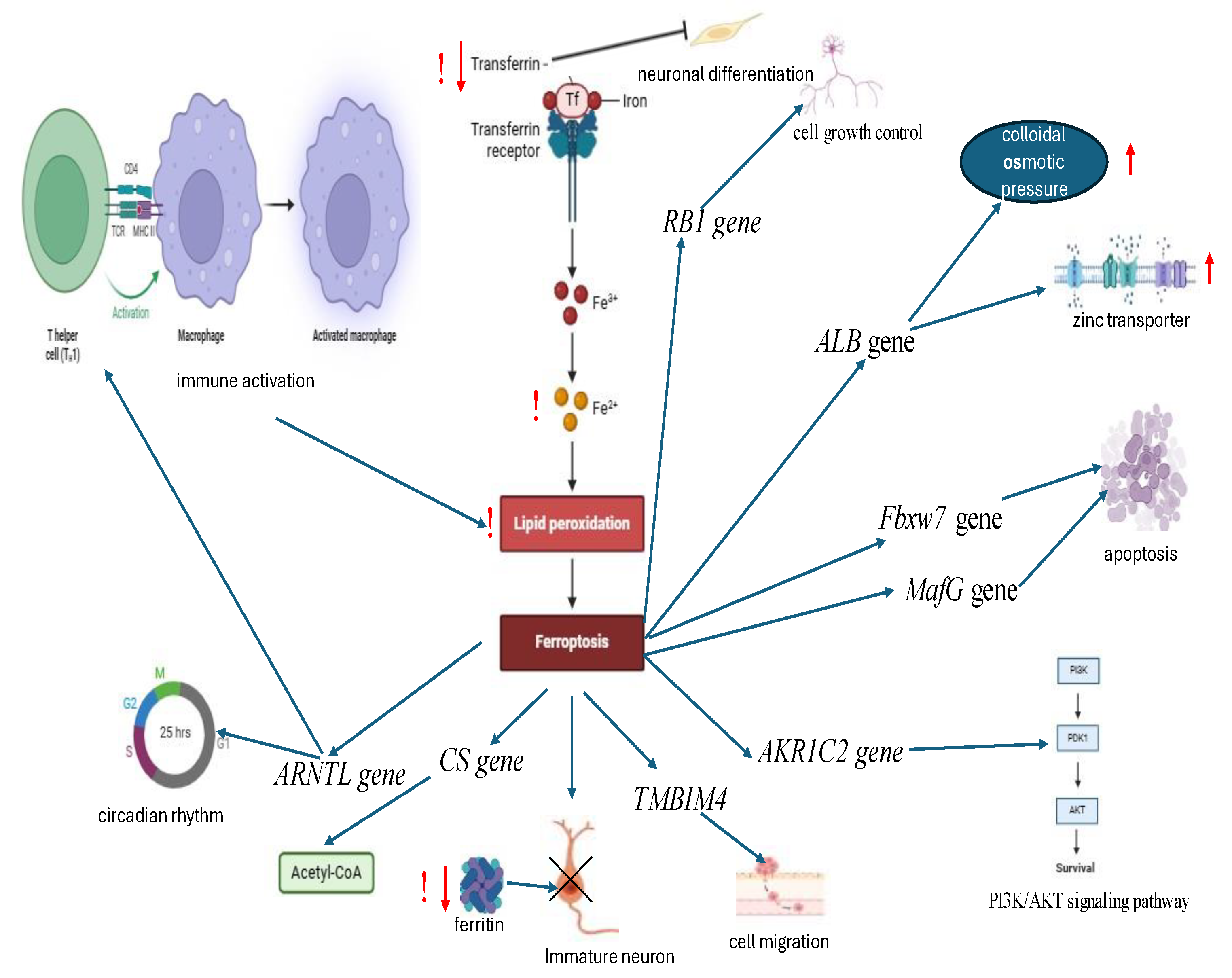 Preprints 154308 g003