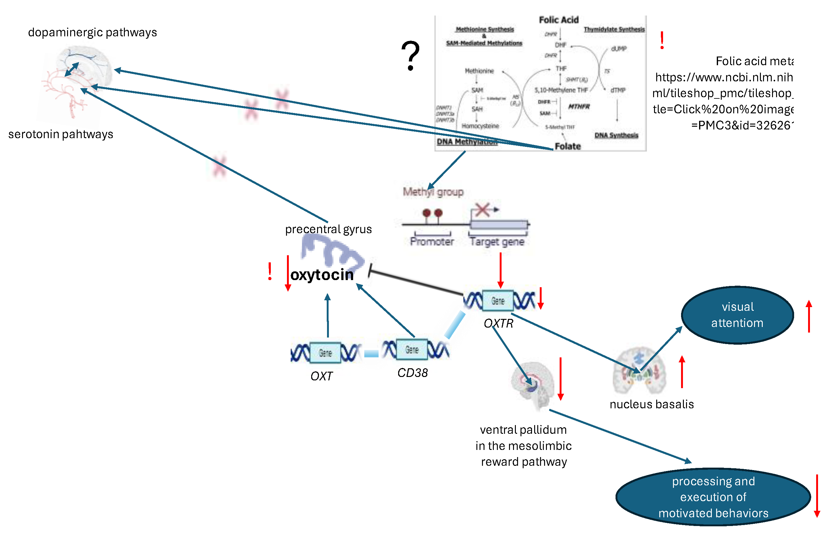 Preprints 154308 g005