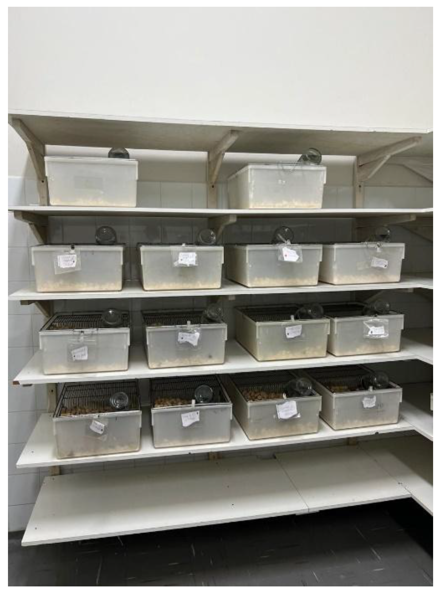 Preprints 185510 g002