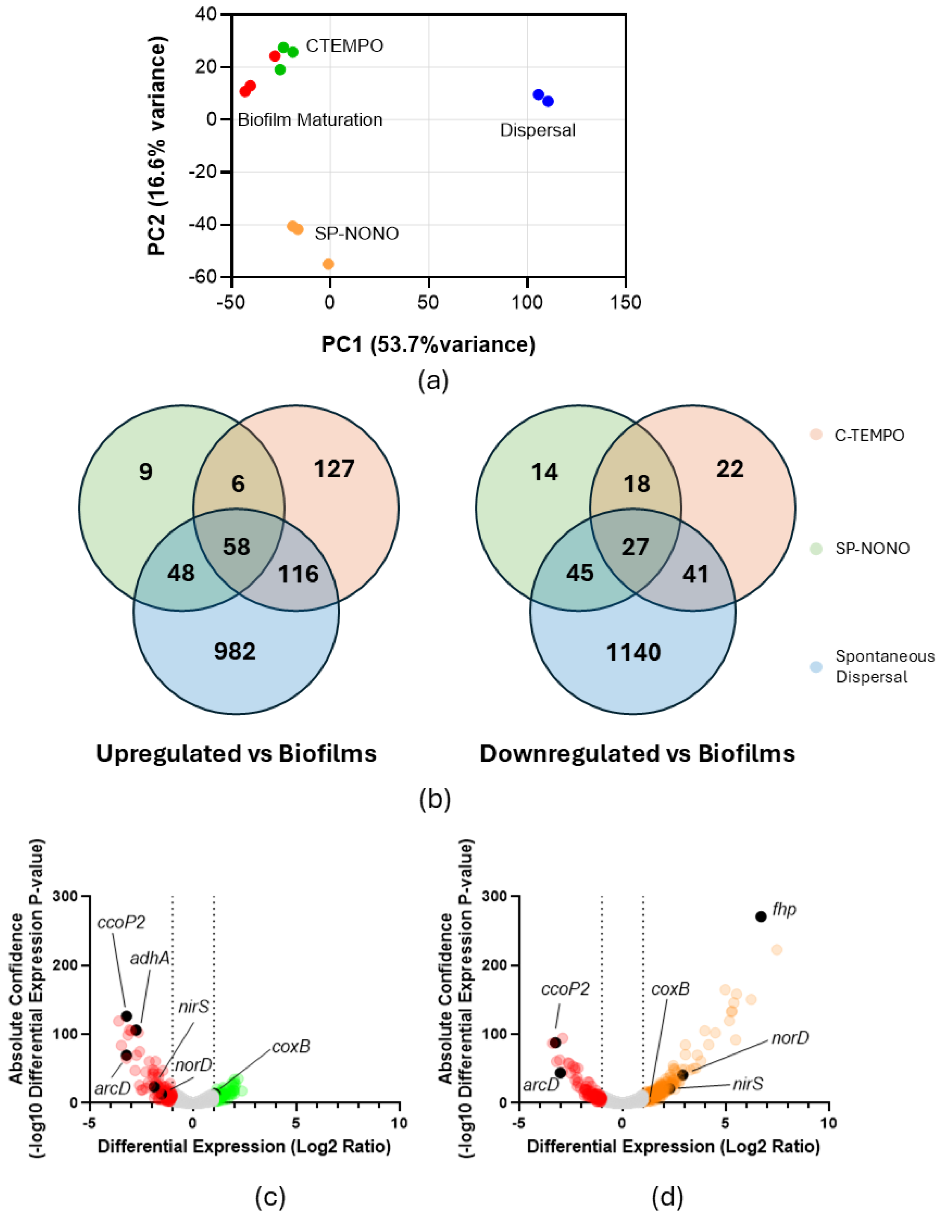 Preprints 201379 g002