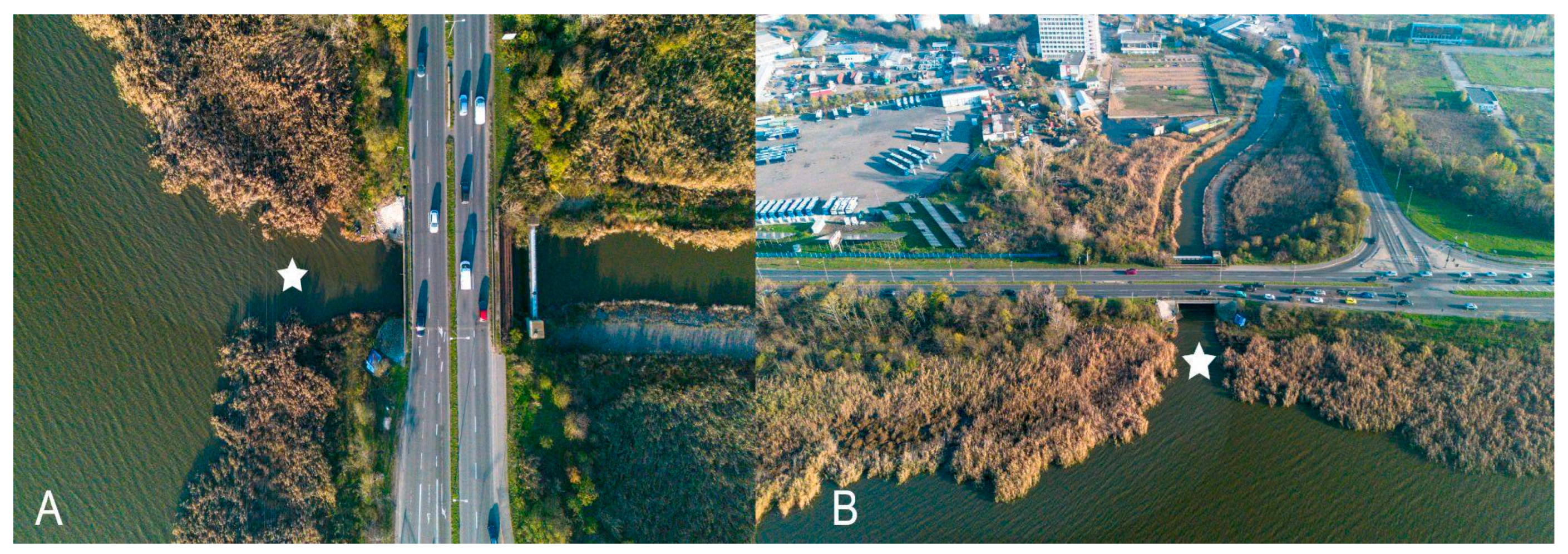 Preprints 190245 g002