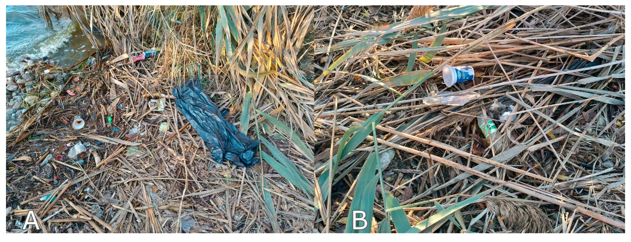 Preprints 190245 g003