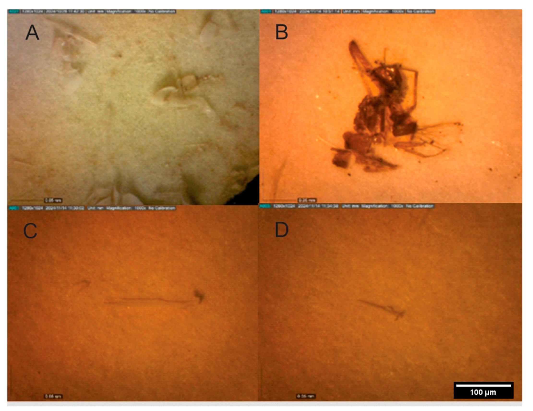 Preprints 190245 g006