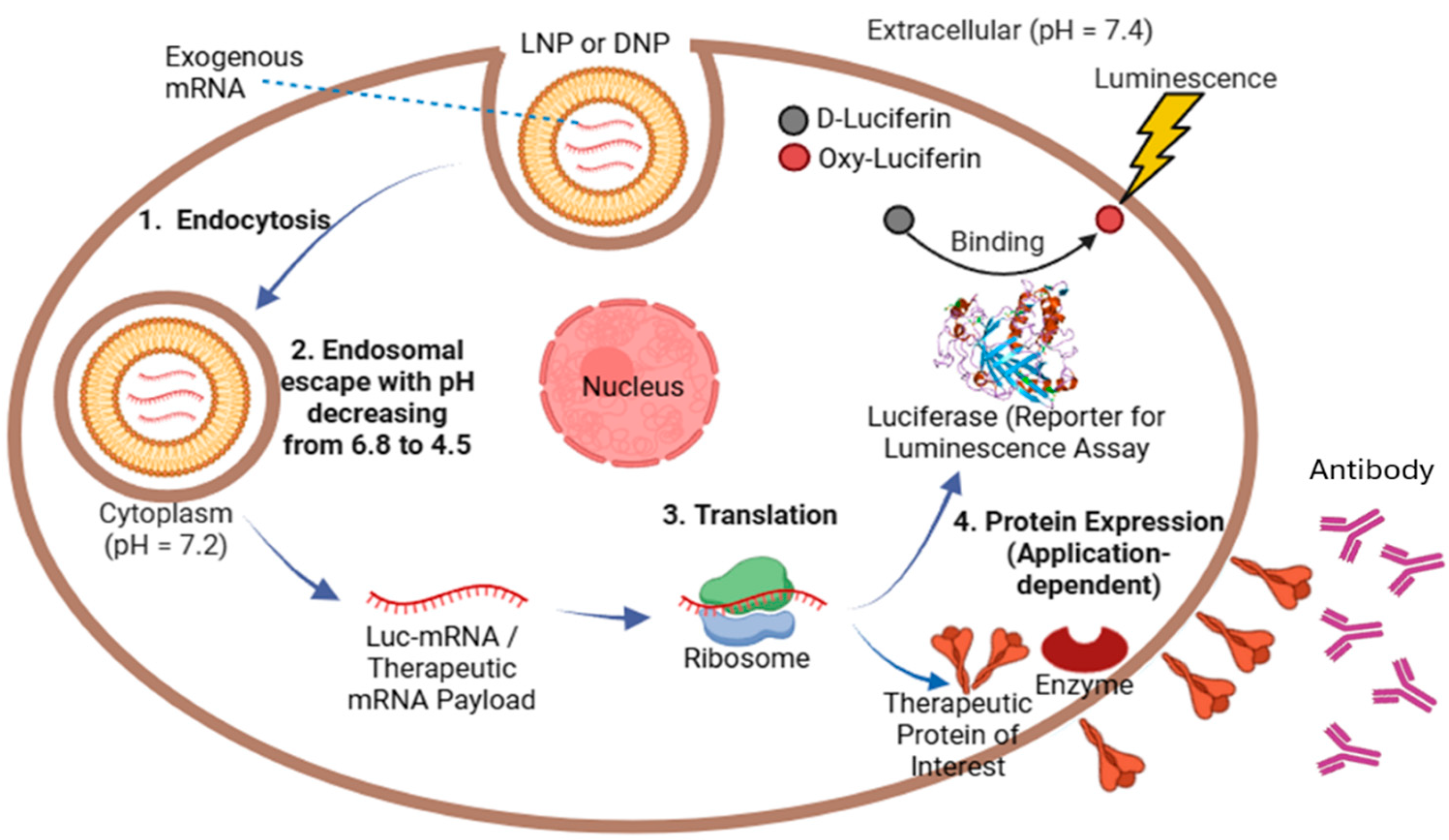 Preprints 182799 g001