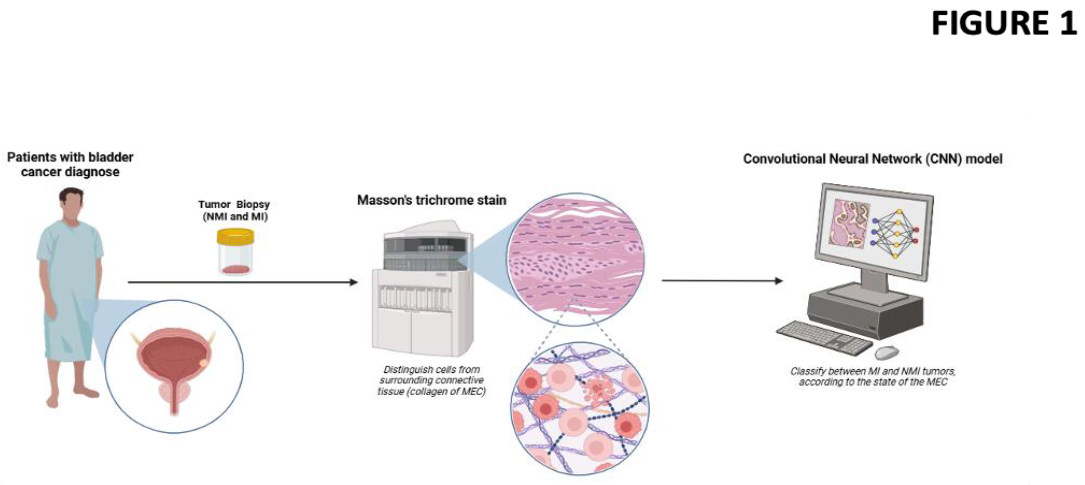 Preprints 190814 g003