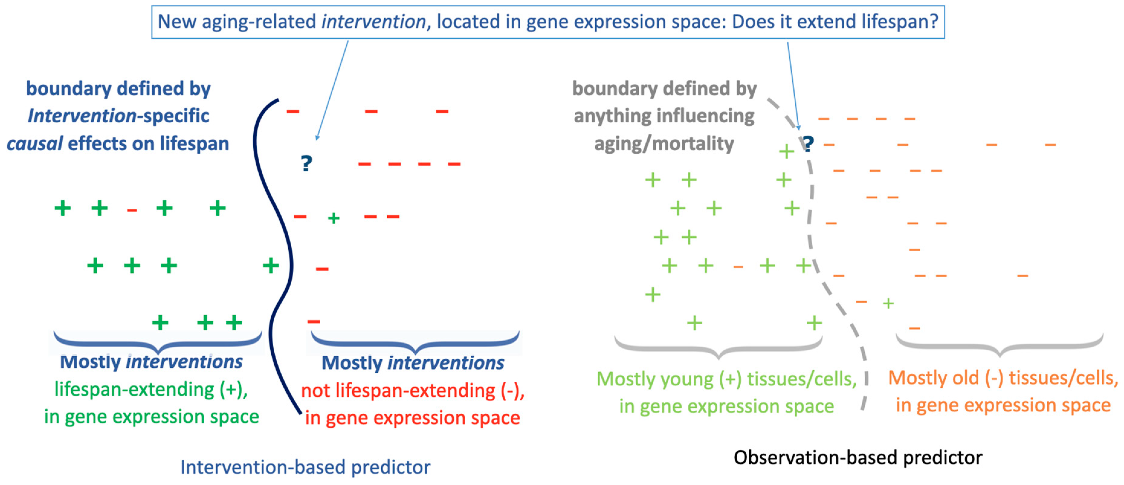 Preprints 147274 g001