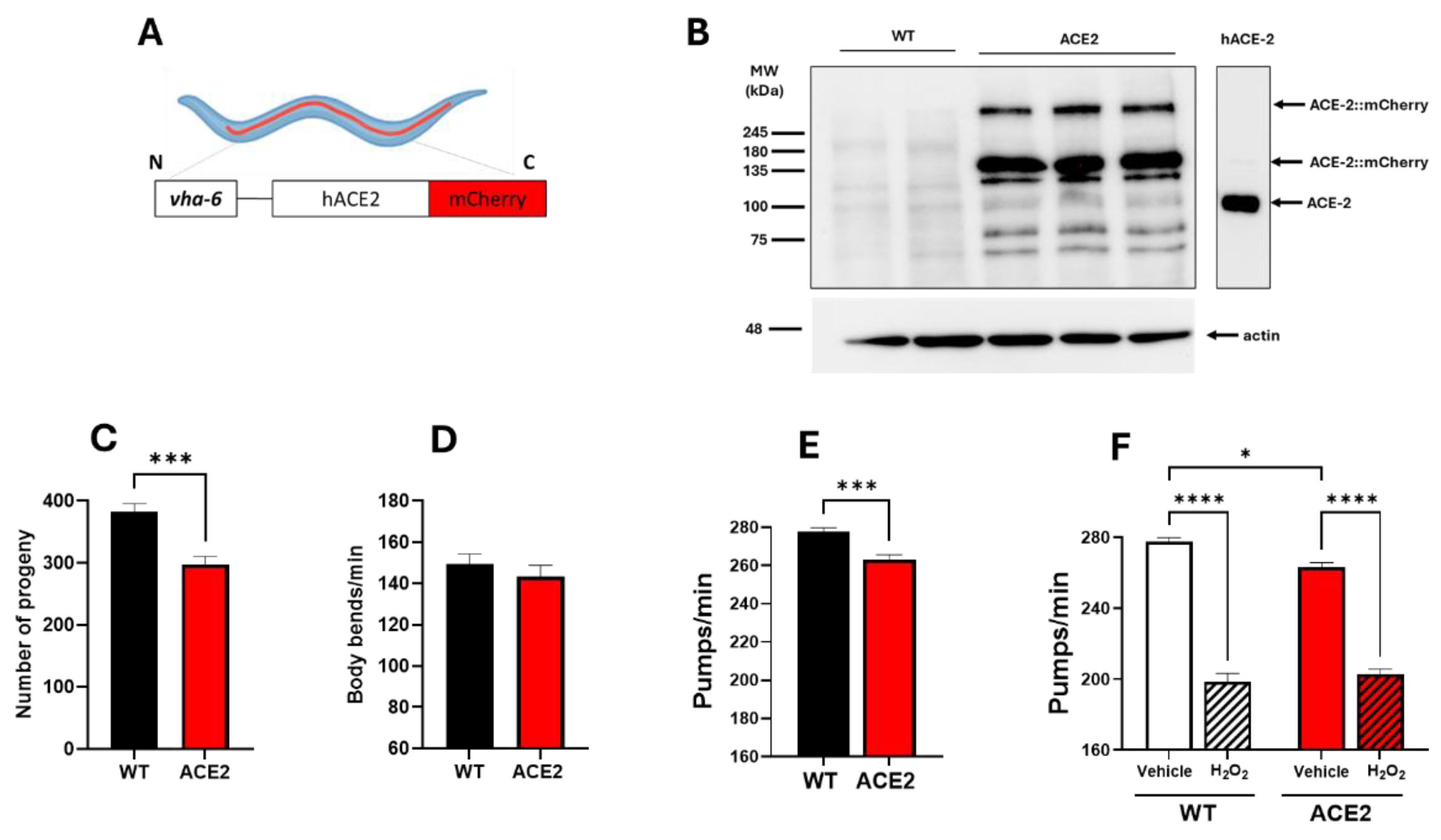 Preprints 177206 g001