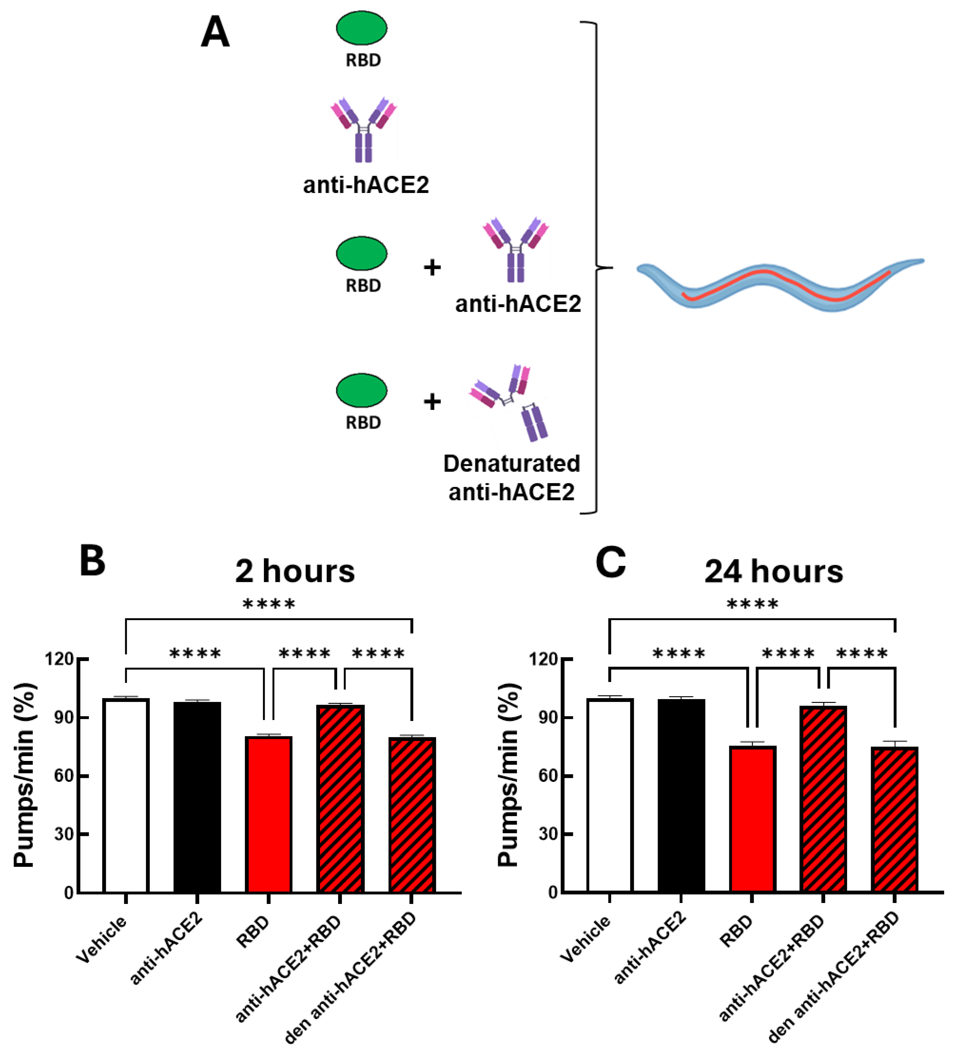 Preprints 177206 g003