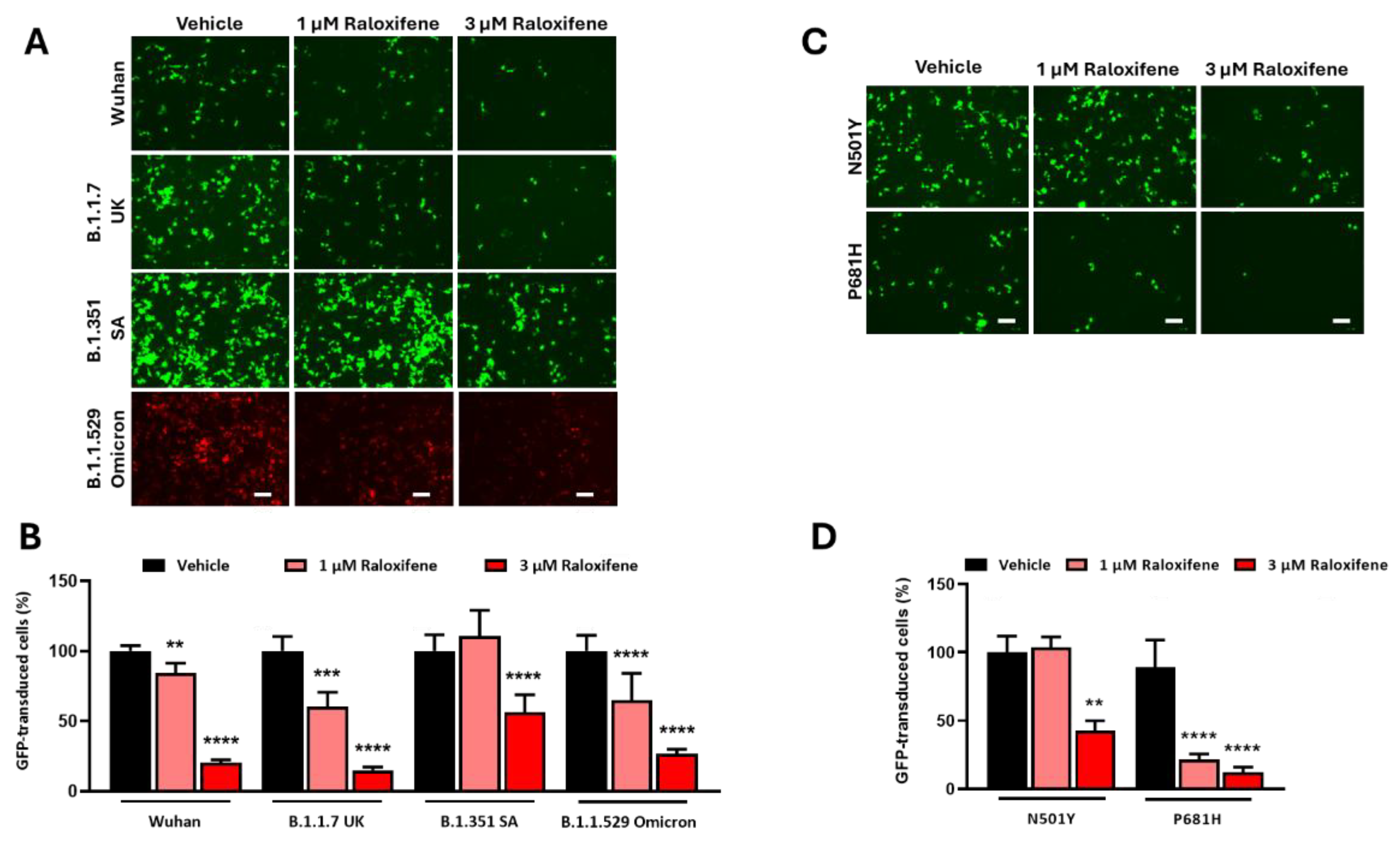 Preprints 177206 g005